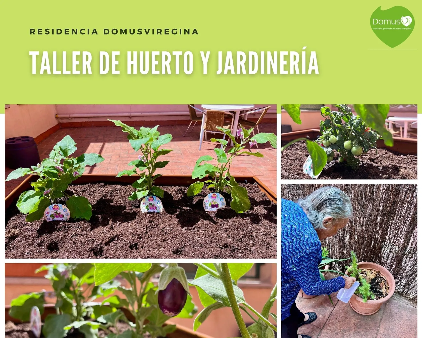 residencia-domusviregina-min.jpg