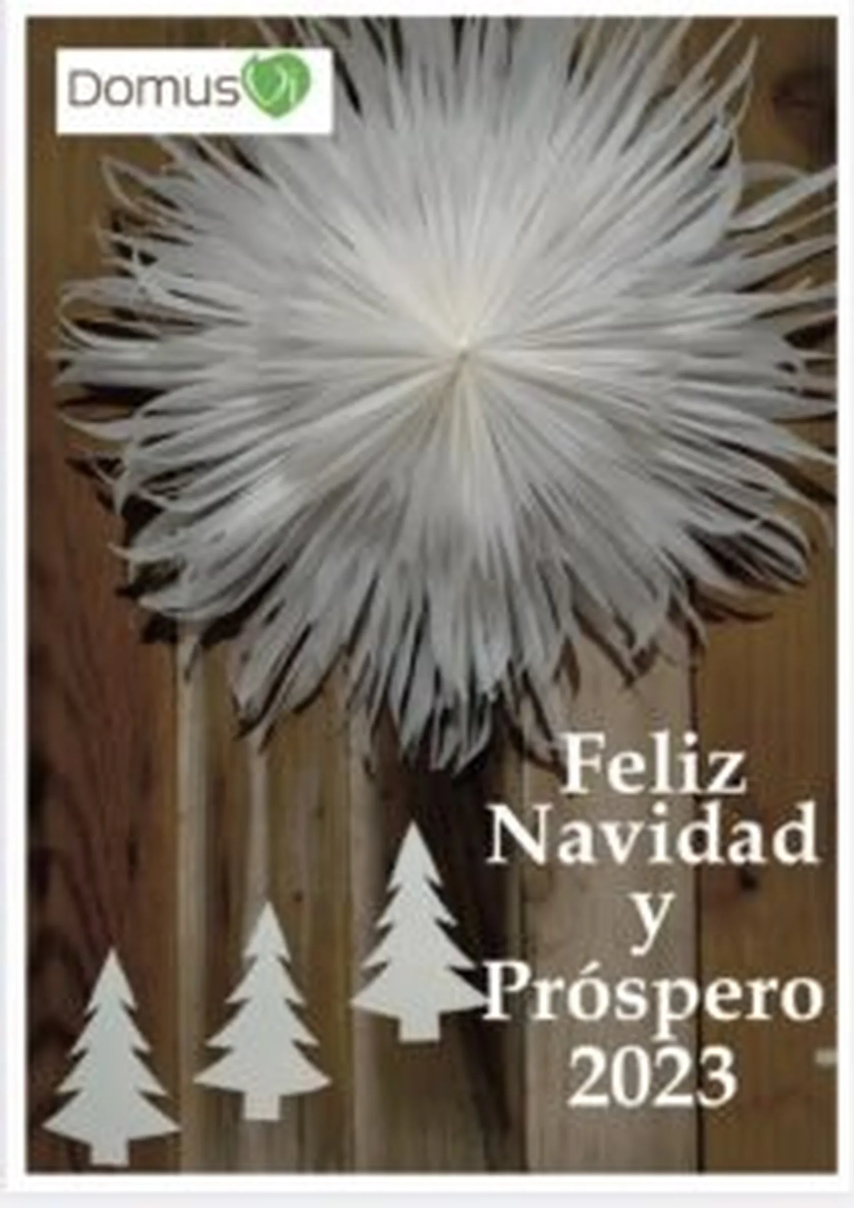 Postal-Navidena-212x300.jpg