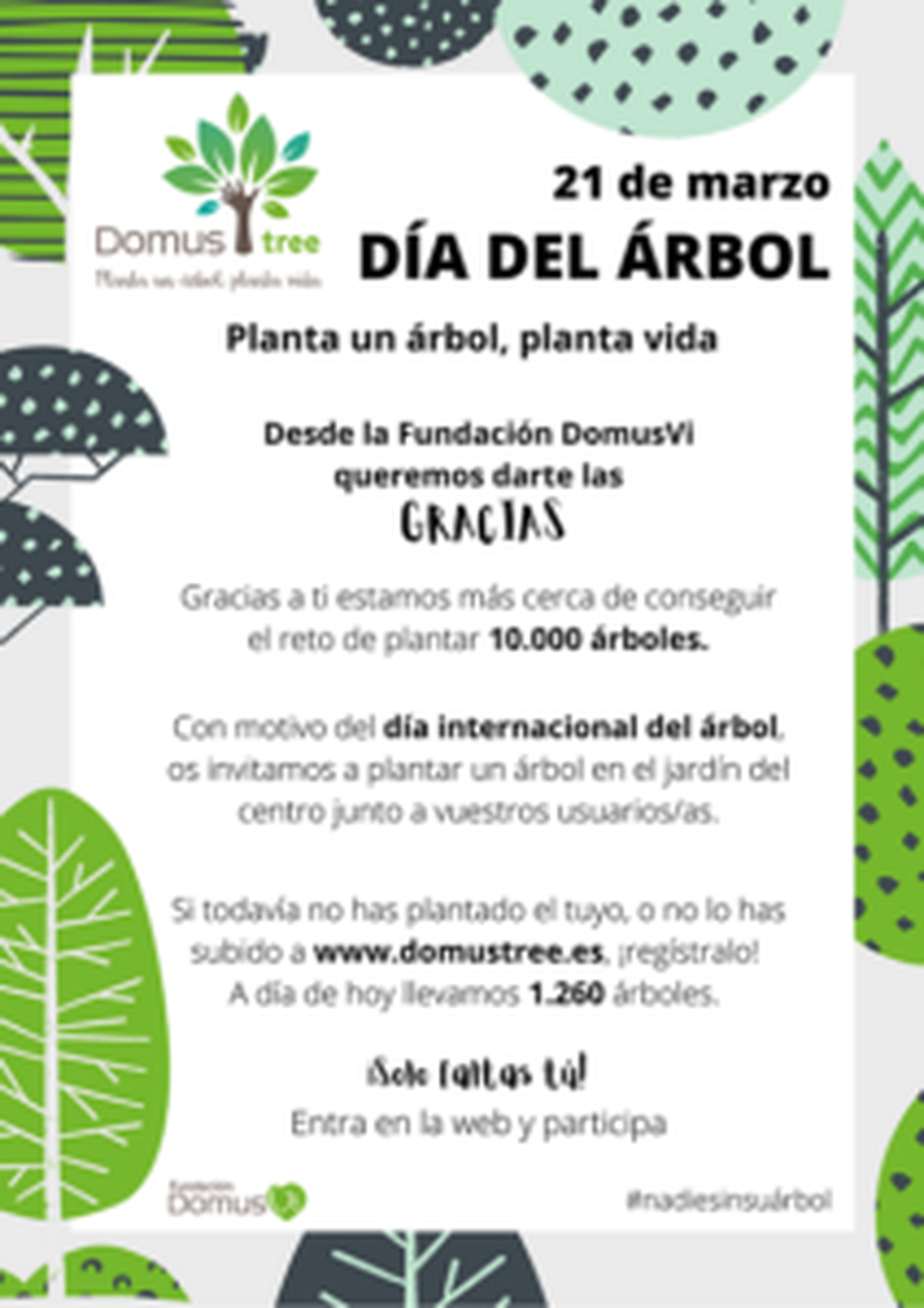 DomusViLugoPlantaArbolC-212x300.png