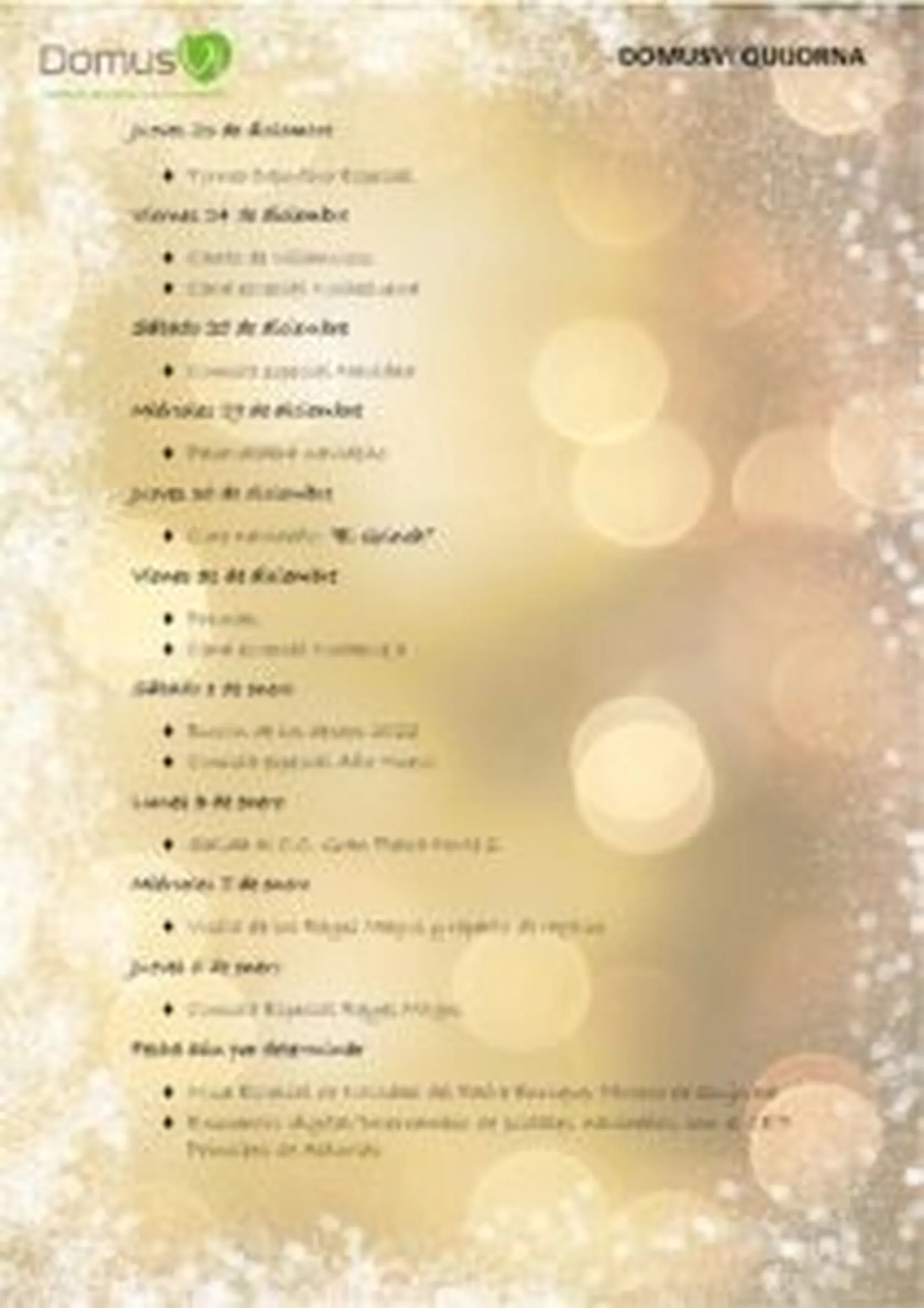 PROGRAMA-DE-NAVIDAD-DOMUSVI-QUIJORNA-2021_20222-212x300.jpg