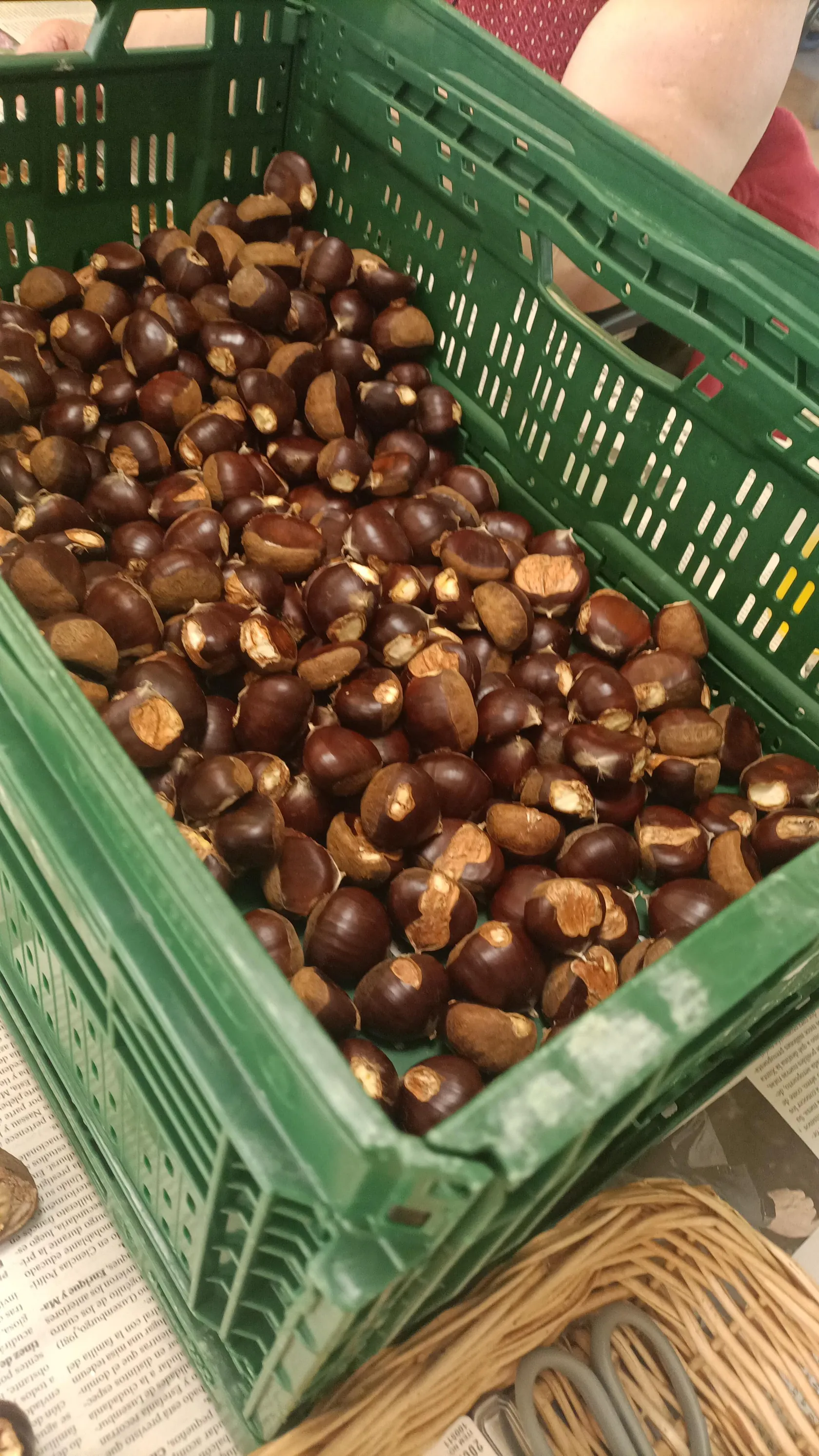 322cf9e4-d20b-4a3e-bf47-cbb639db27e6.jpeg