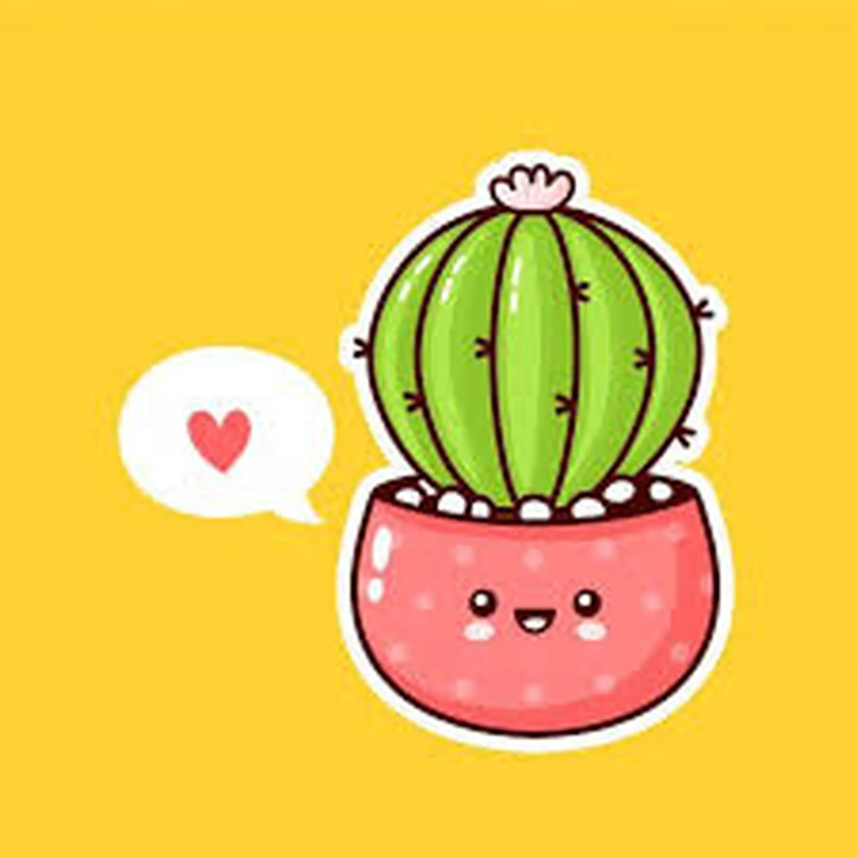 plantasjpg.jpg