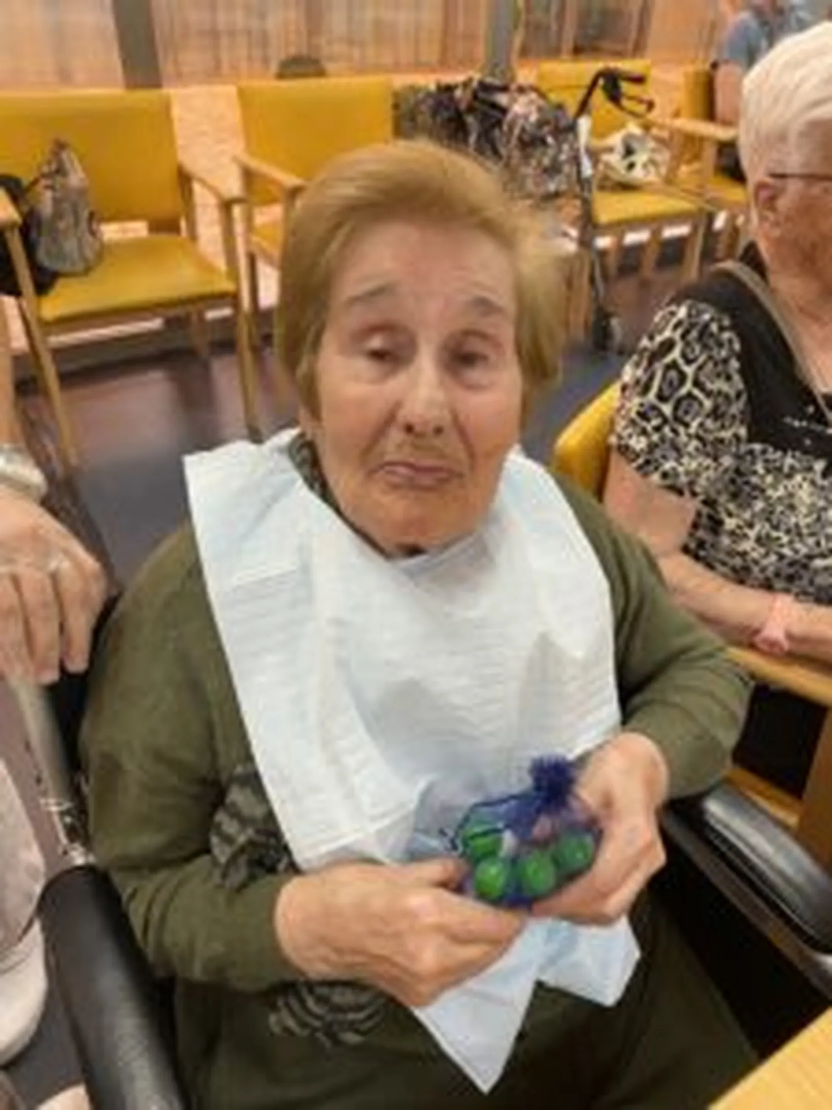 IMG_6079-225x300.jpeg