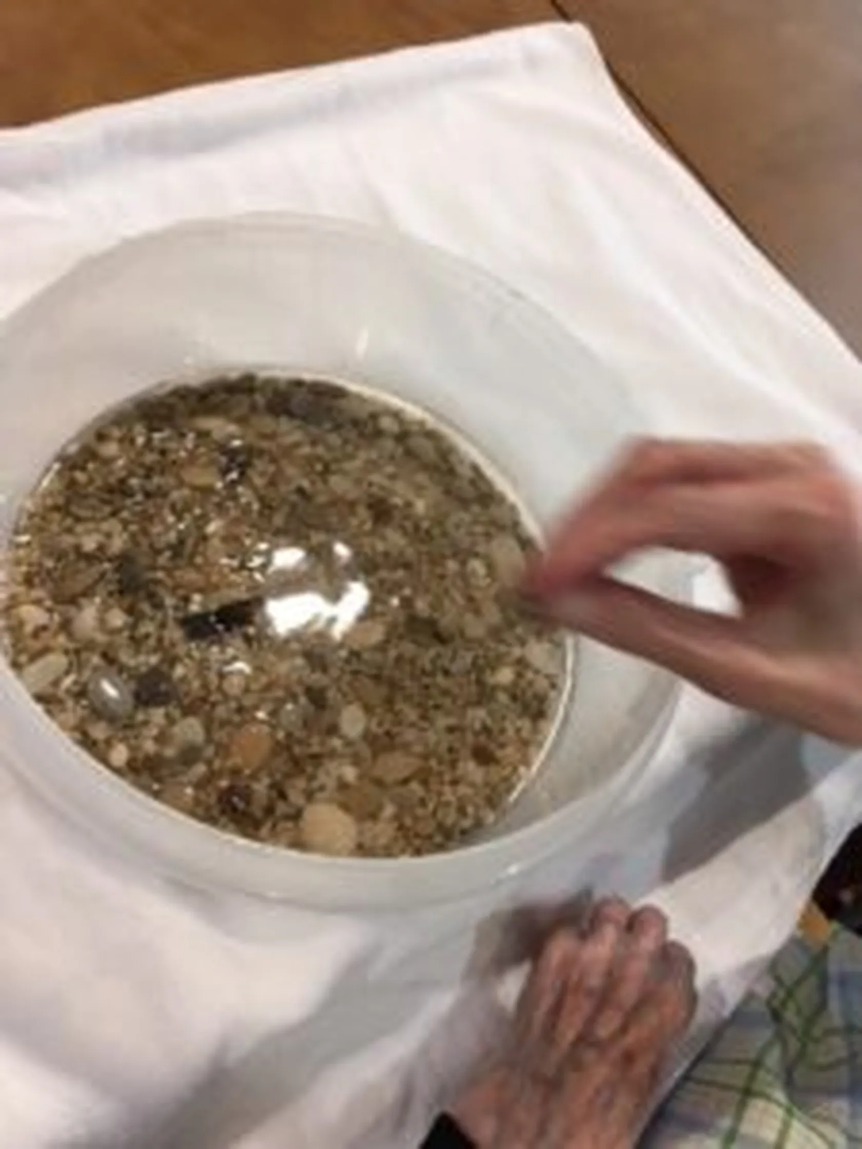 thumbnail_IMG_4114-1-225x300.jpg