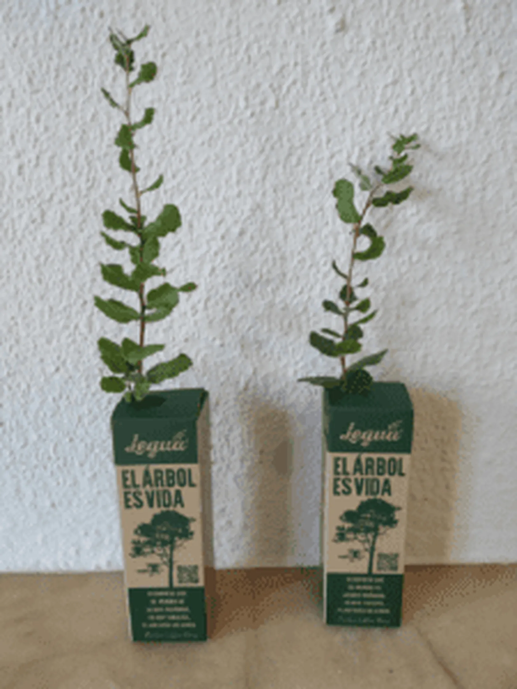 arbolitos-225x300.png