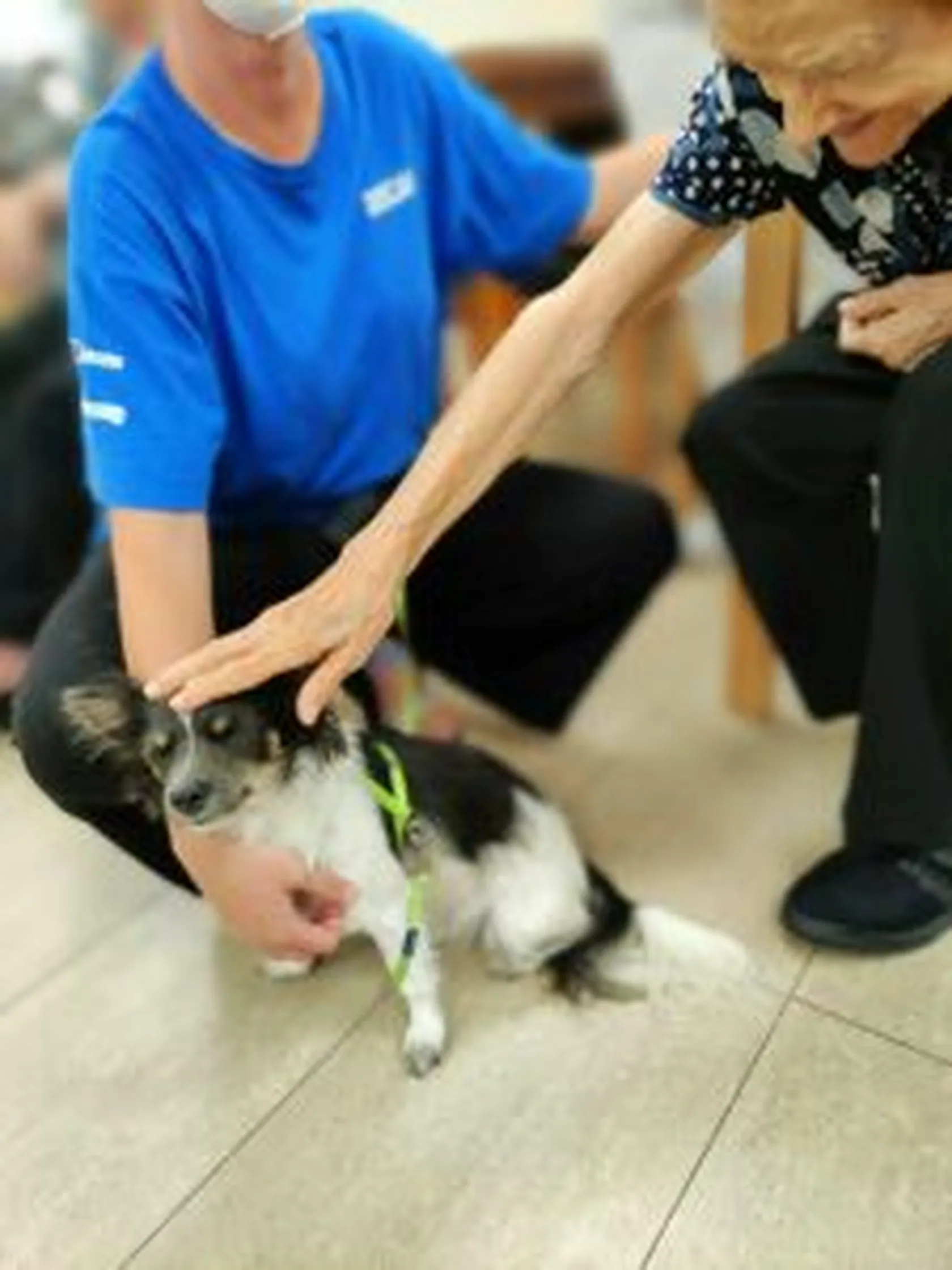 DomusViLaSalut-terapia-canina-2-225x300-1.jpg