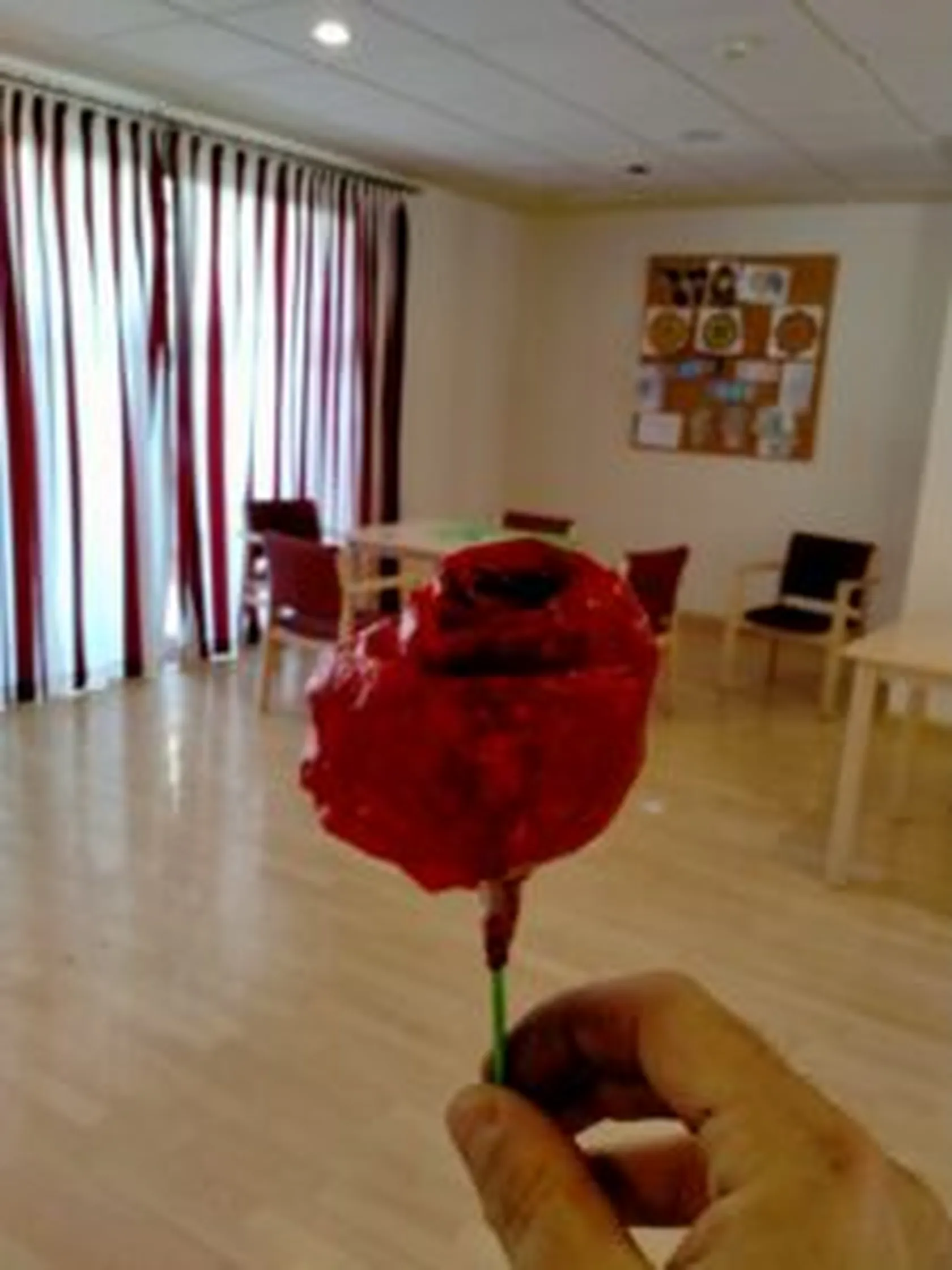 IMG20210423184833-225x300.jpg