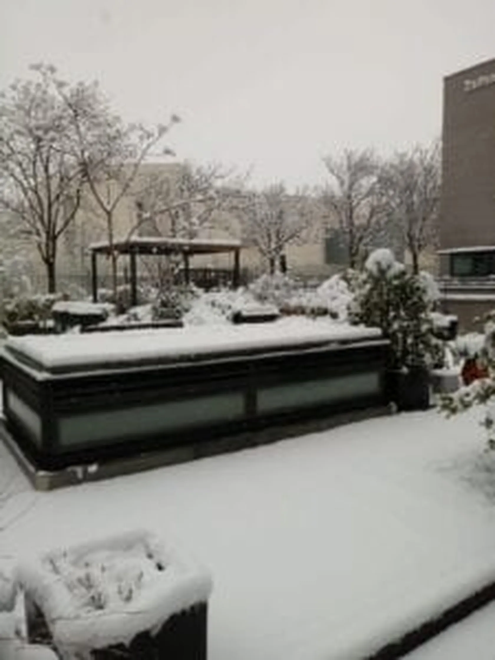 Jardin-225x300.jpg