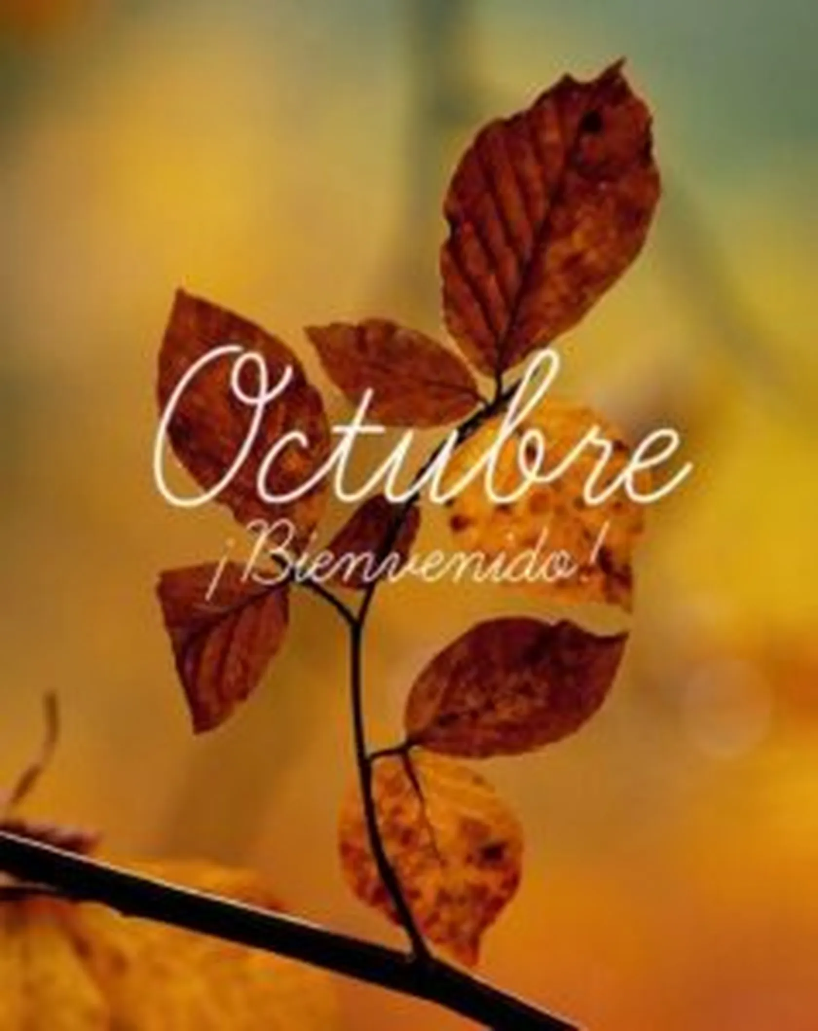 Octubre-1-238x300.jpg