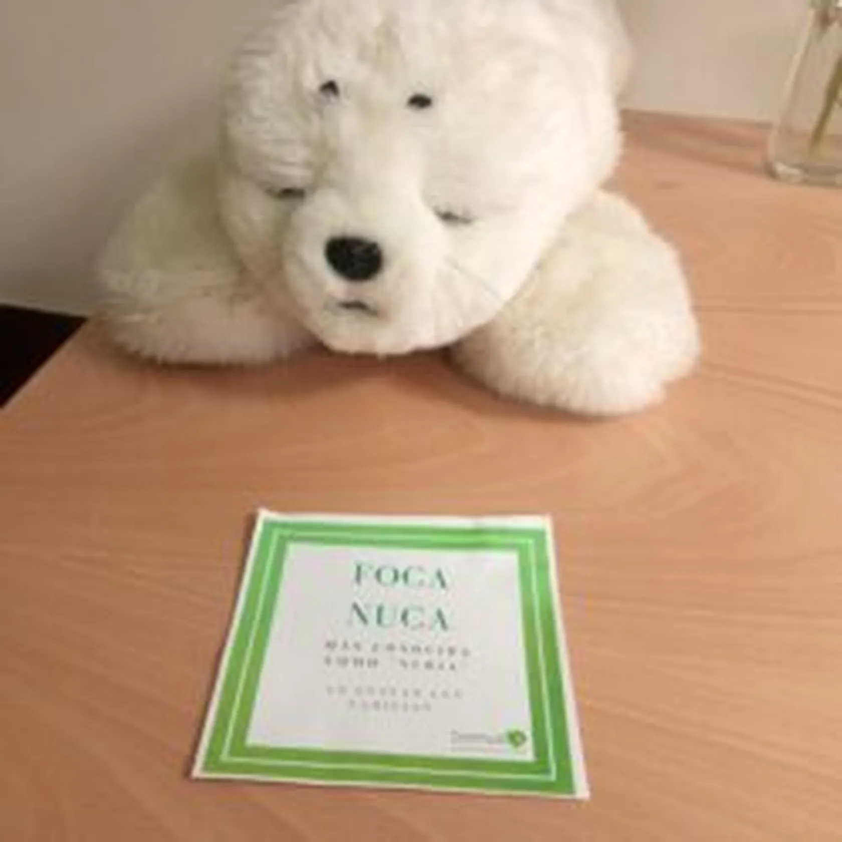 Foca1-250x250.jpg