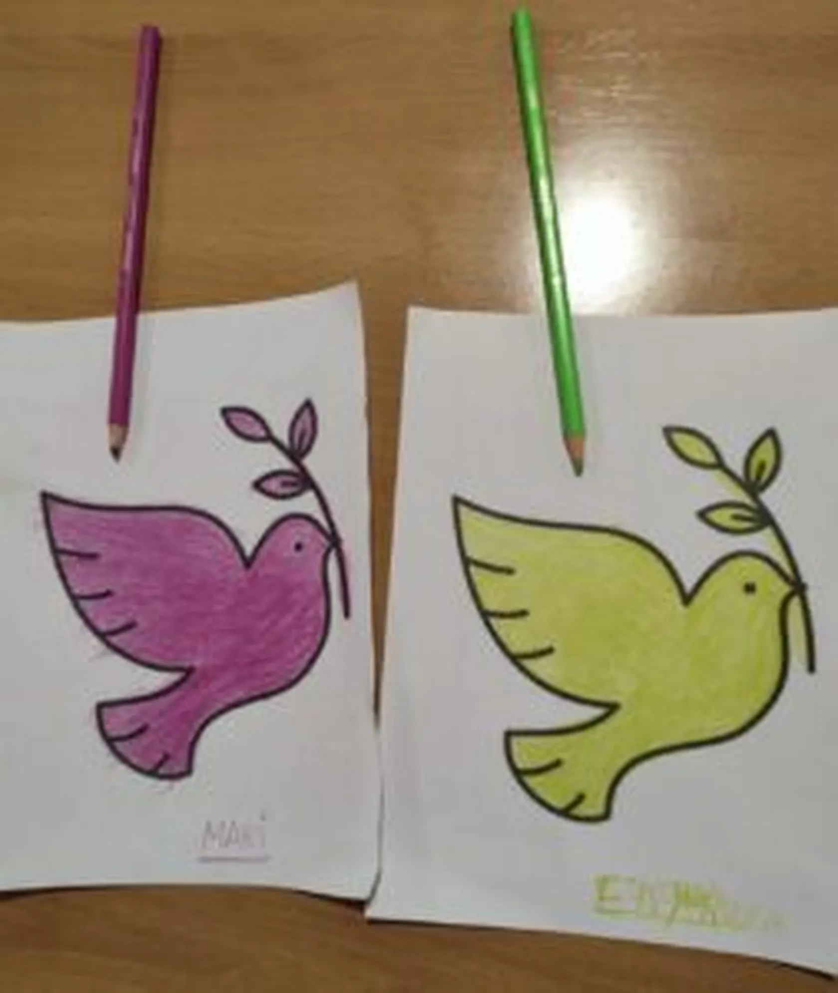 thumbnail_a191fa92-8cda-48bb-a93b-011fae5d8c00-253x300.jpg