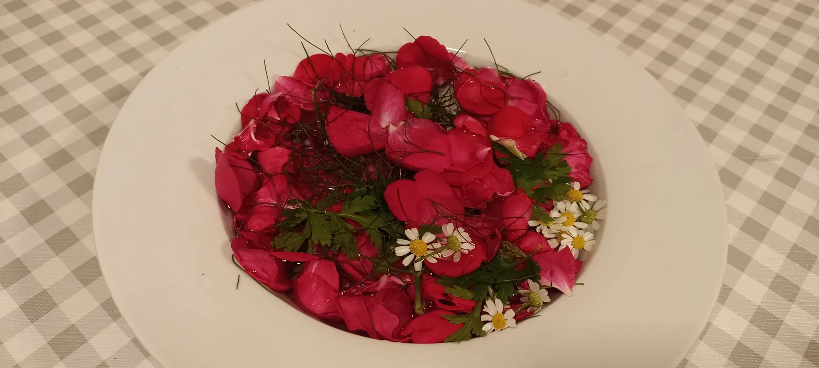 flor-scaled.jpg