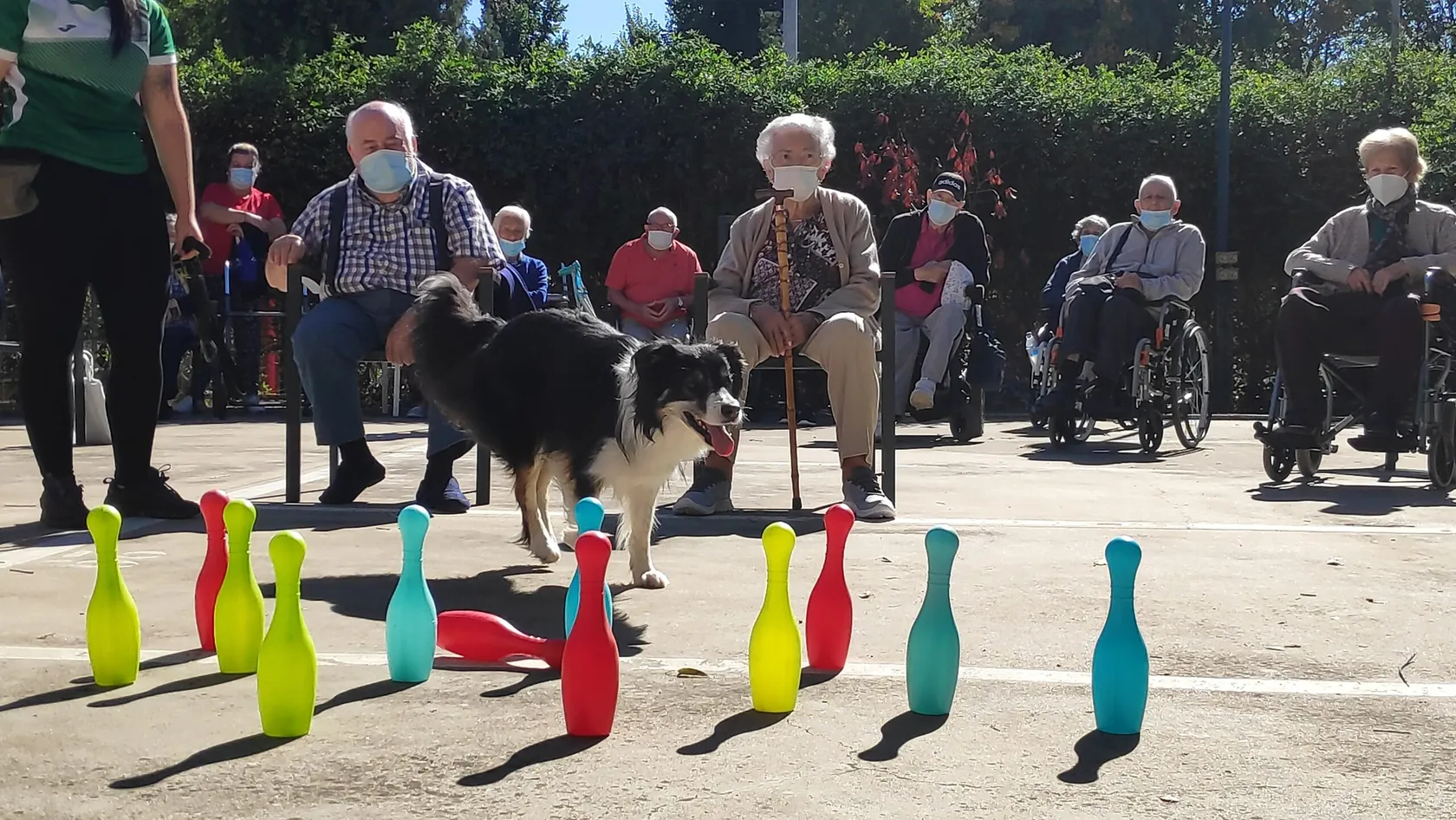 DIA-MUNDIAL-DE-LOS-ANIMALES-DOMUSVI-VALDEMORO-7-scaled.jpg
