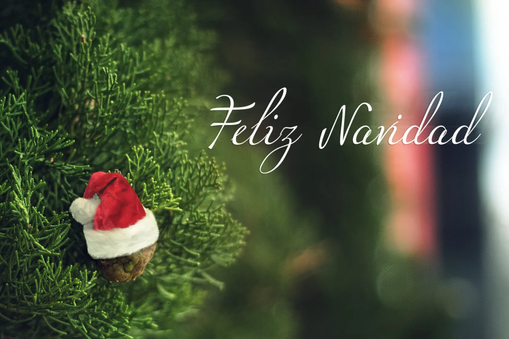 Feliz_Navidad-scaled-1.jpg