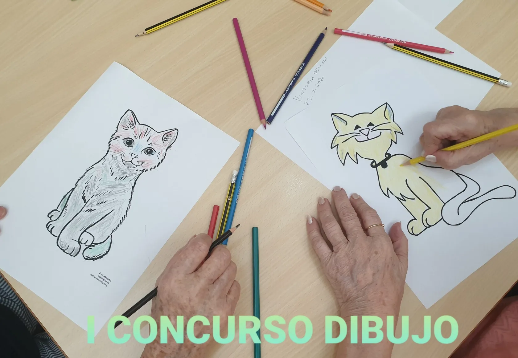 portada-gatos-scaled.jpg