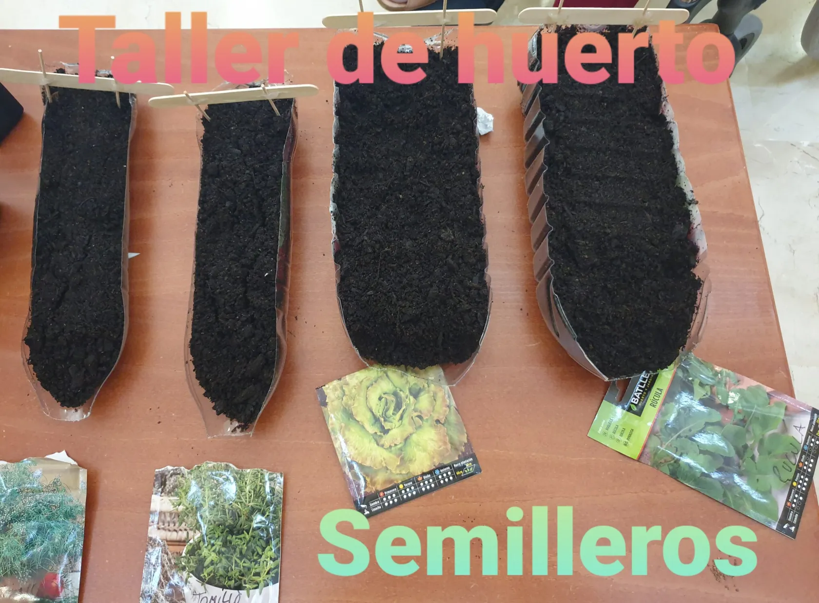 portada-semillero-scaled.jpg