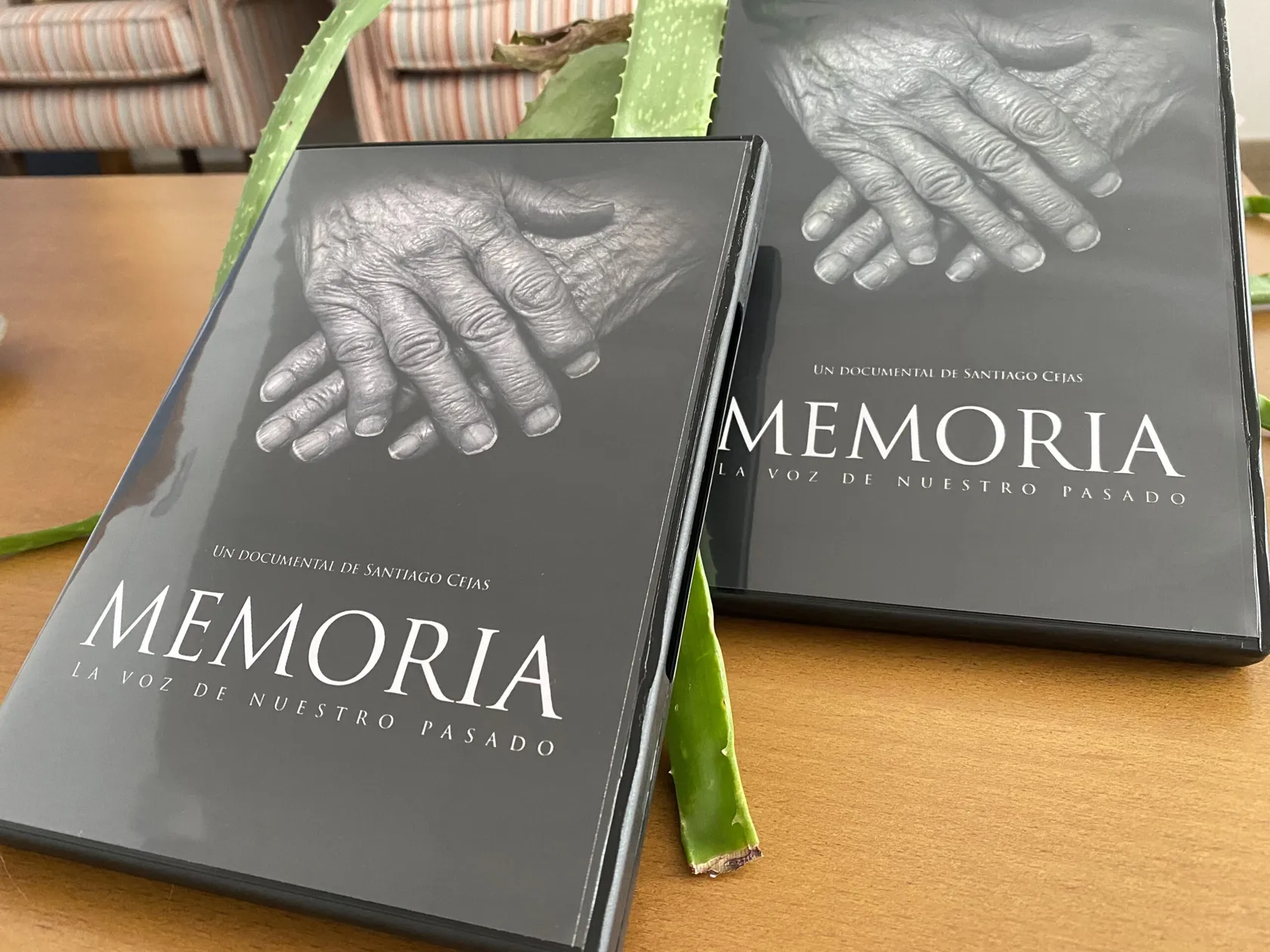 memoria-min-scaled.jpg