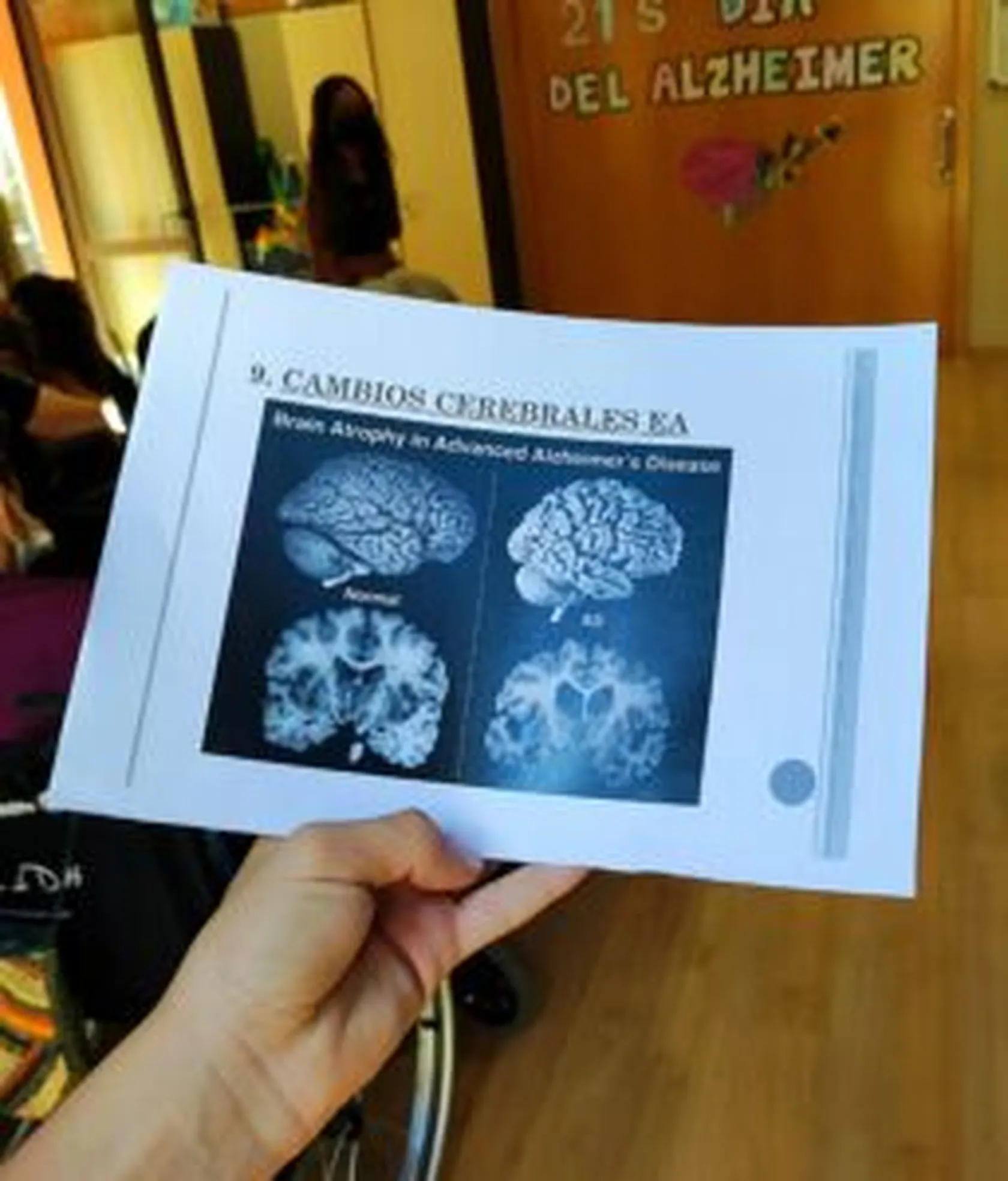 DomusViLaSalut-21S-Alzheimer-3-256x300.jpg