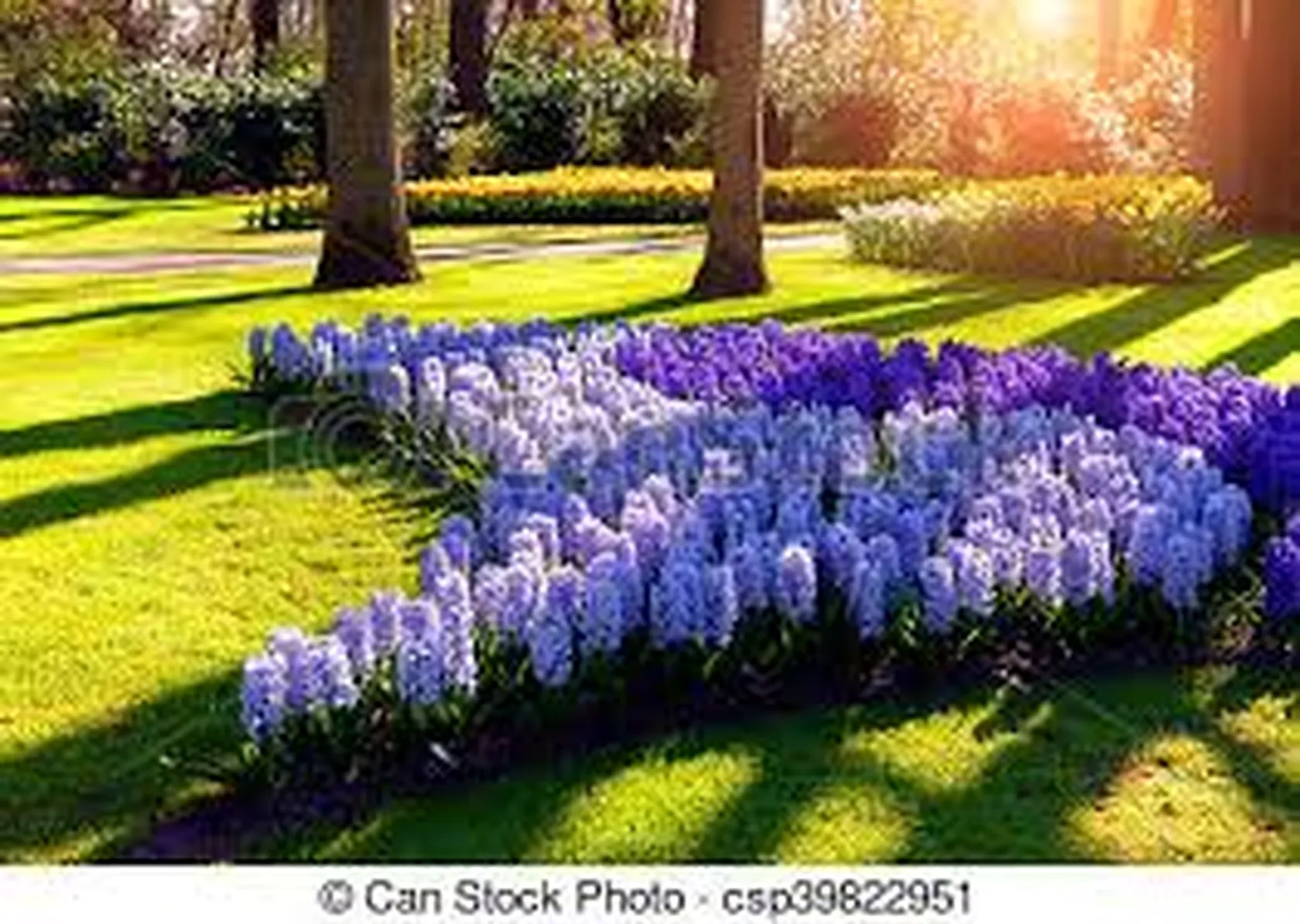 portada-jardín.jpg