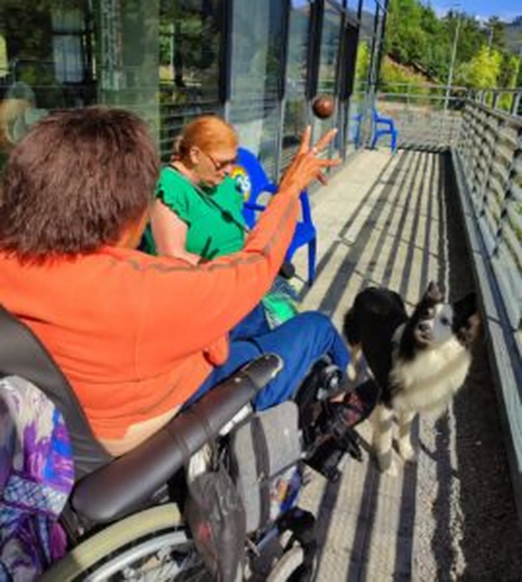 terapia-perro18-269x300.jpg