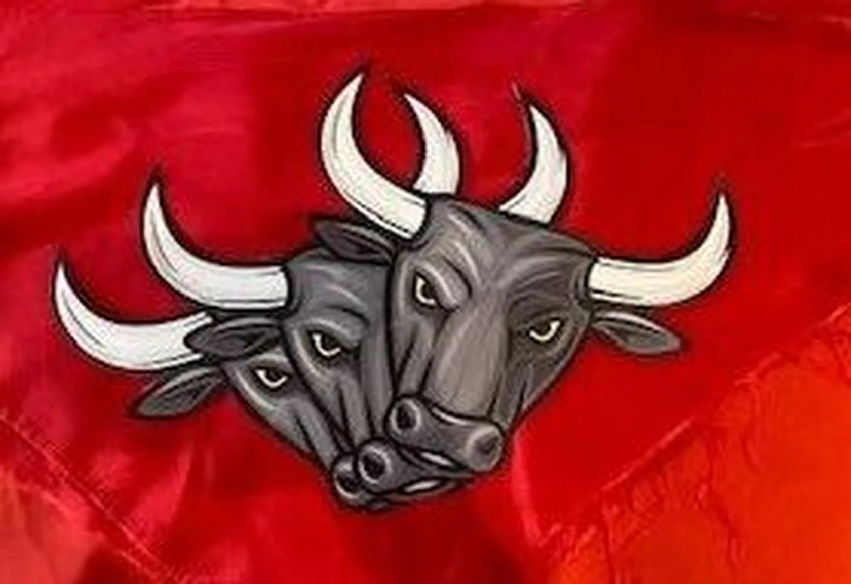 PANUELOS-Y-TOROS-rotated-e1657123769755.jpg