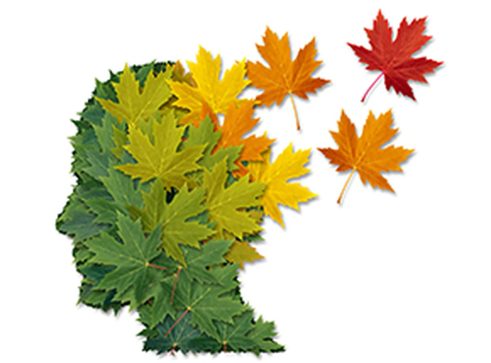 alzheimer-noviembre.jpg