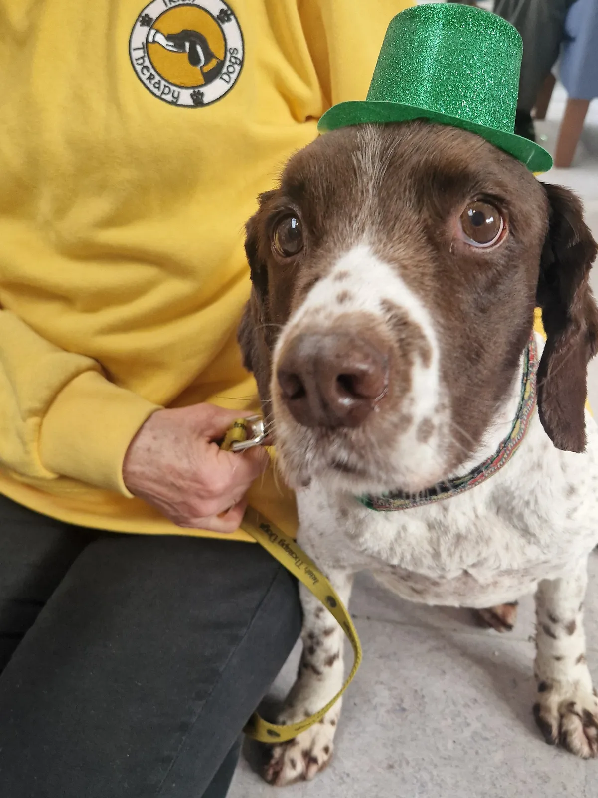 Dog Therapy, Annabeg Nursing Home, Ballybrack, Dublin