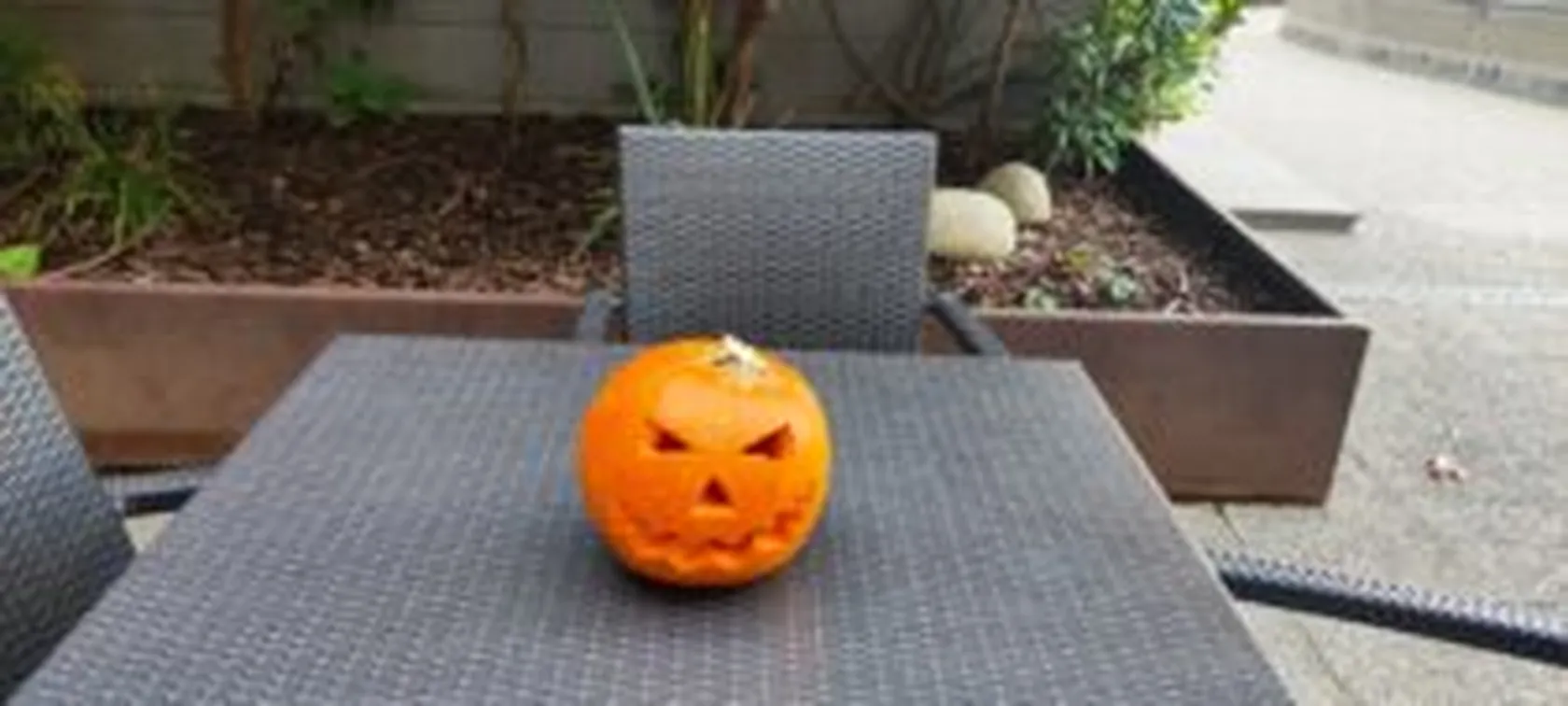 calabaza-jardin-min-300x135.jpg