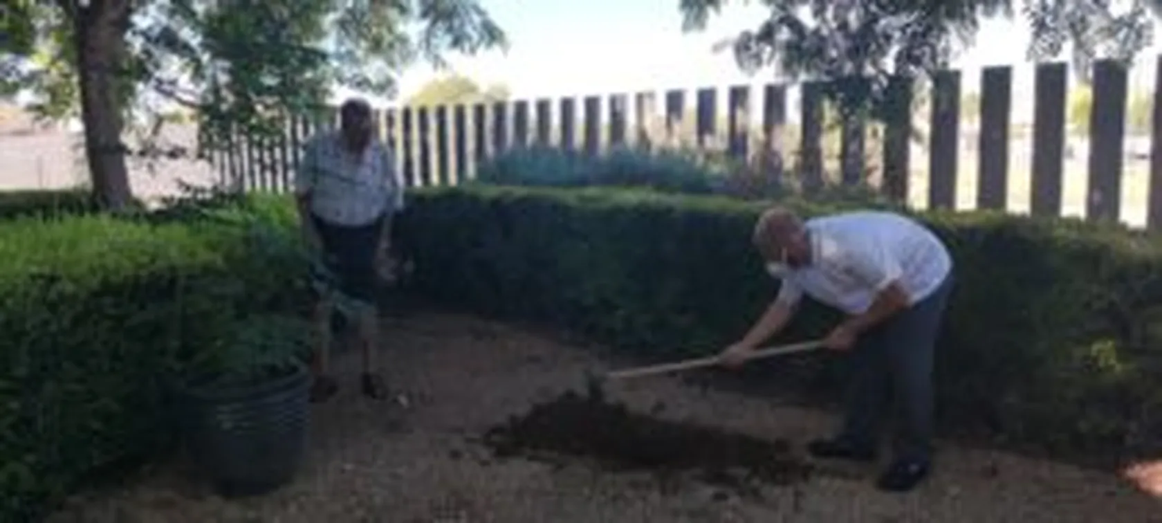PLANTANCION-ARBOL-4-300x135.jpg