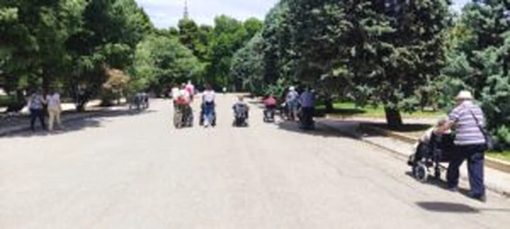 Paseo-central-parque-min-300x135.jpg