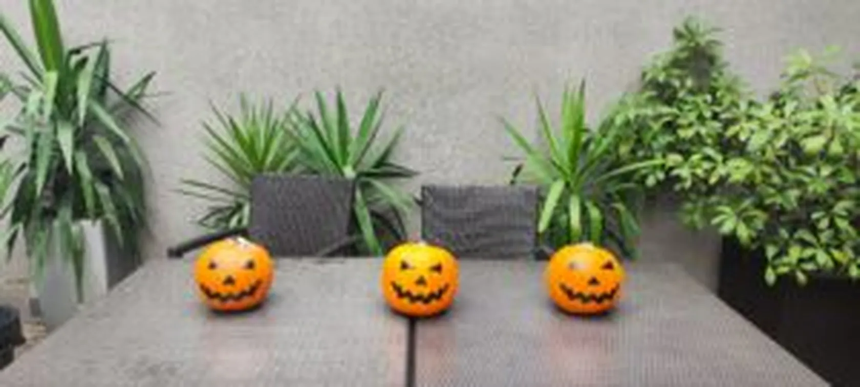 Calabaza-pegatina-1-min-300x135.jpg