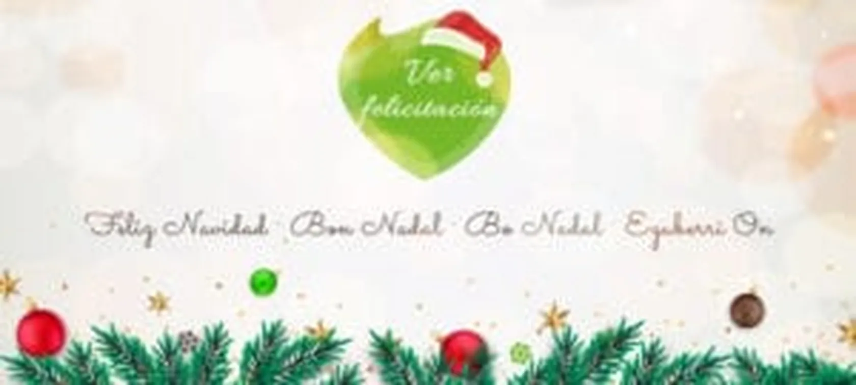 foto-navidad-domus-300x135.jpg