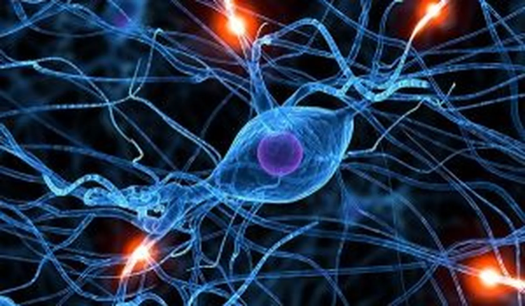 neurona-300x175.jpg