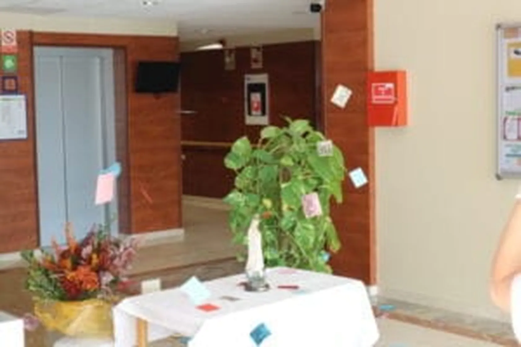 aleluyas-007-300x200.jpg