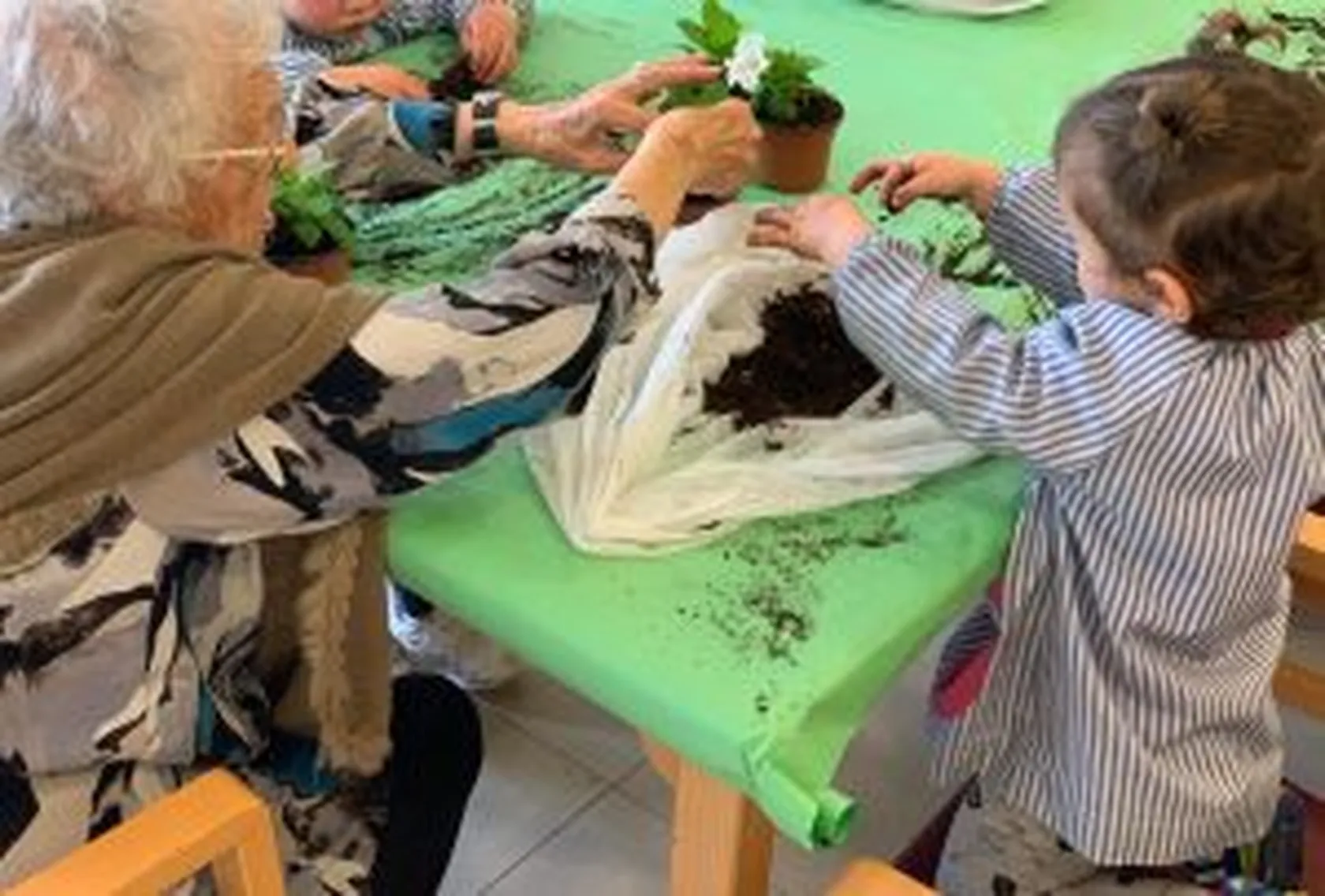 IMG-20190411-WA0011-300x203.jpg