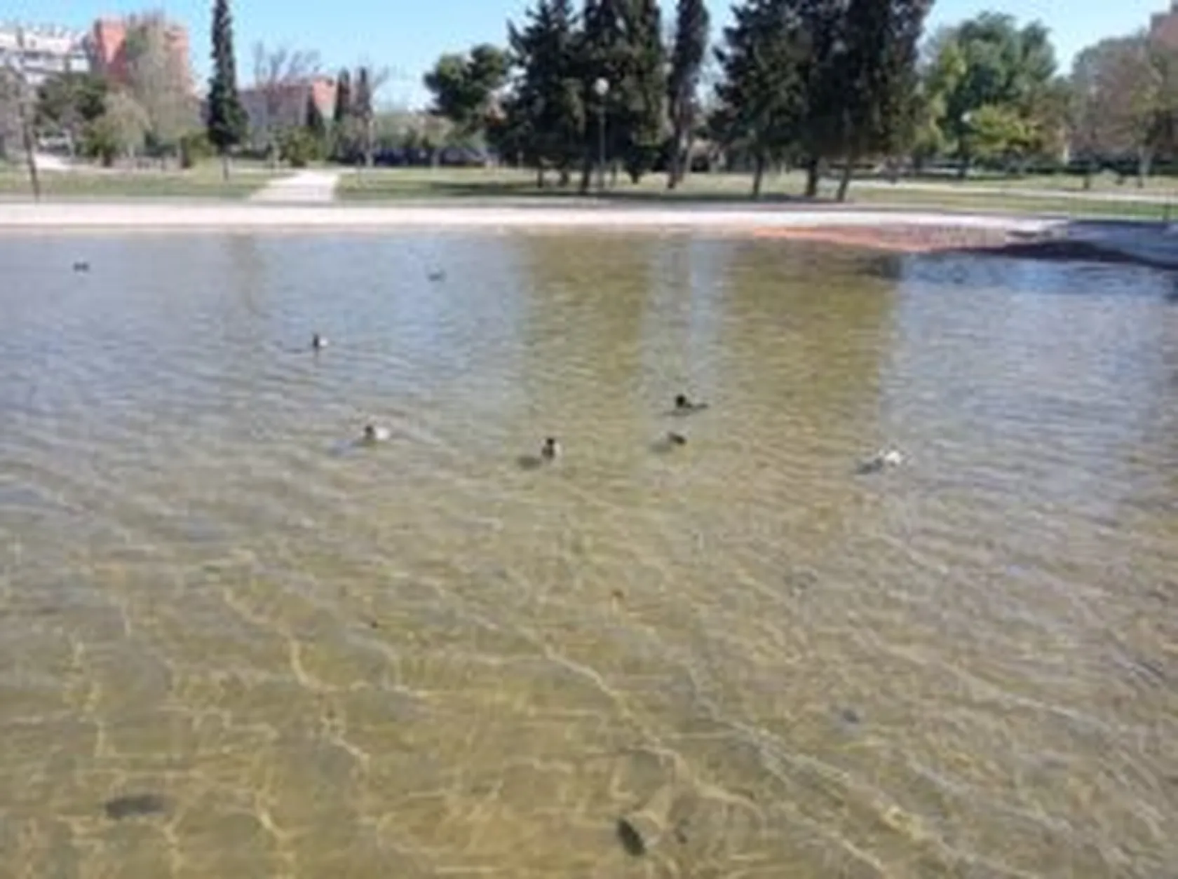 paticos-lago-zalfonada-min-300x224.jpg