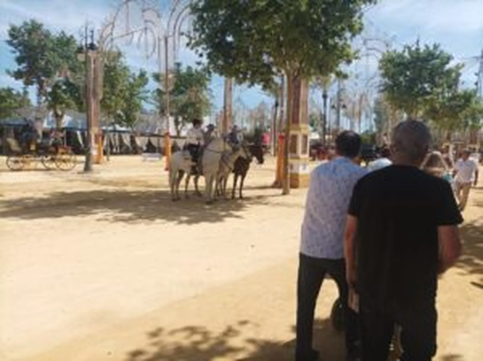 Feria-3-300x224.jpeg