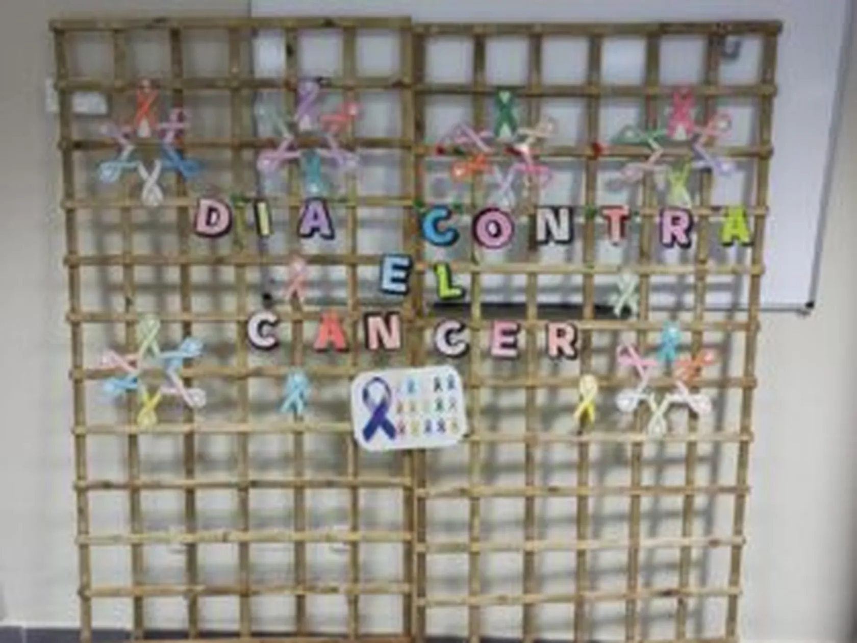 Dia-mundial-contra-el-cancer-7-300x225.jpg