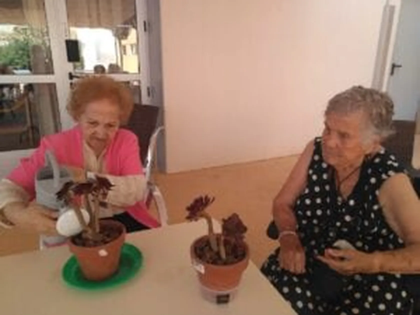 Jardineria-abono-julio3-300x225.jpg