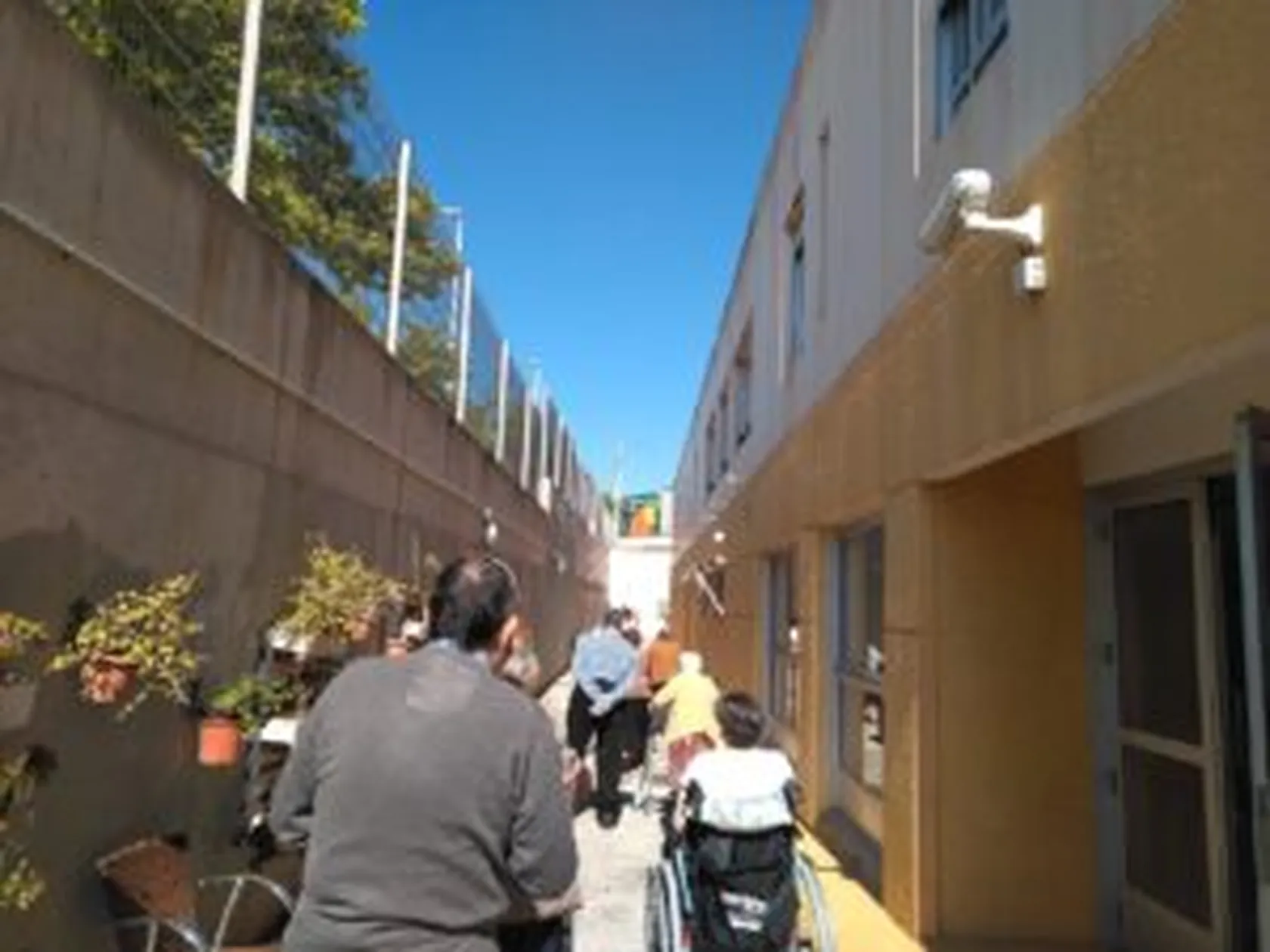 Dia-de-la-Mona2-300x225.jpg