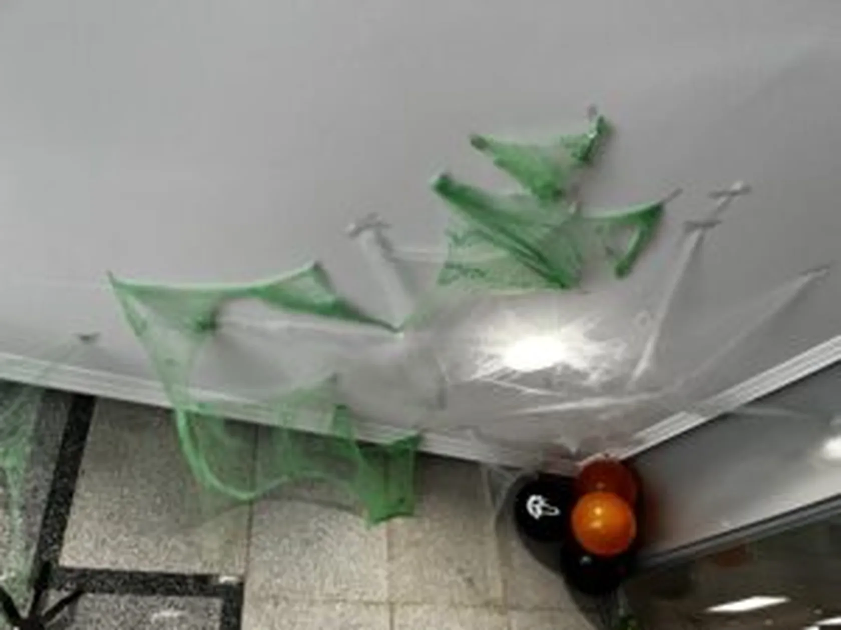 1E91EEC1-694C-4C3D-8514-8DDE45BE798B-300x225.jpeg