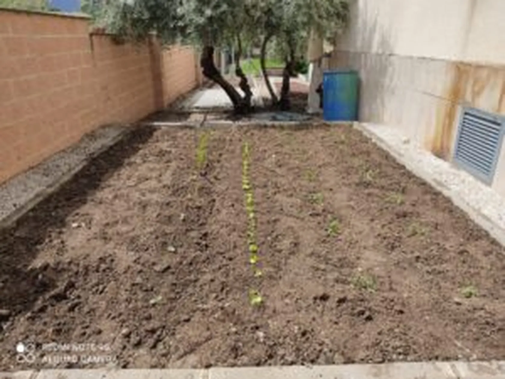 IMG-20210422-WA0005-300x225.jpg