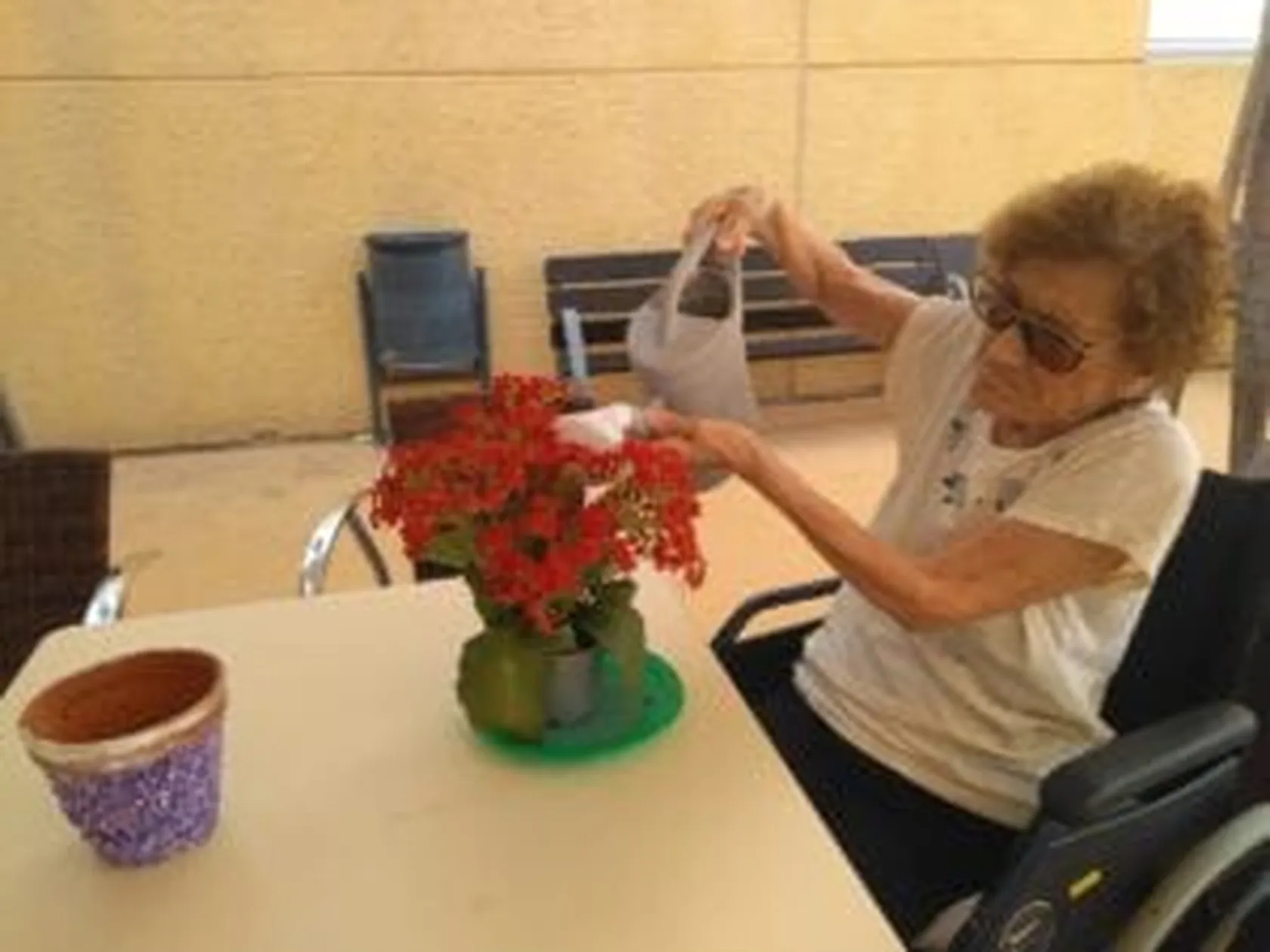 Jardineria-abono-julio5-300x225.jpg