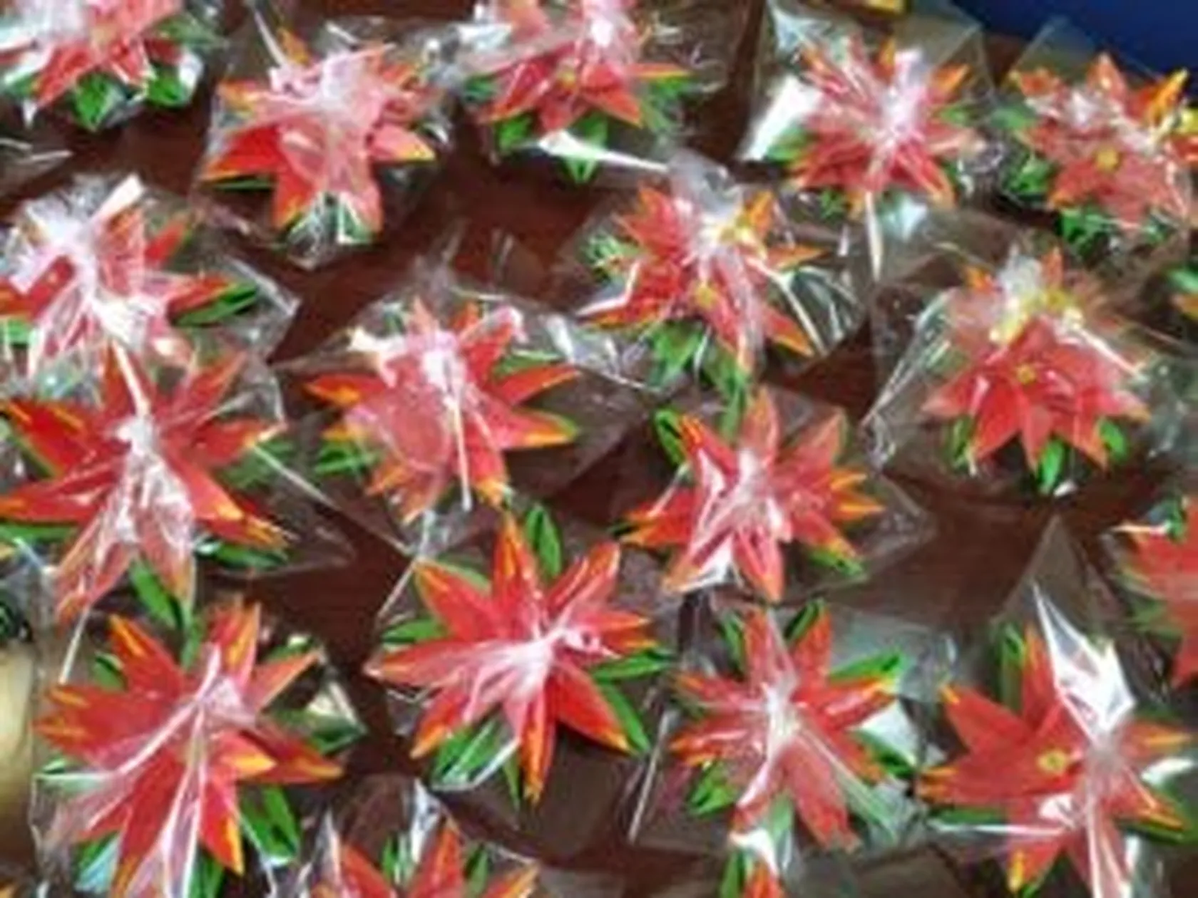 flor-de-pascua1-2020-300x225.jpg