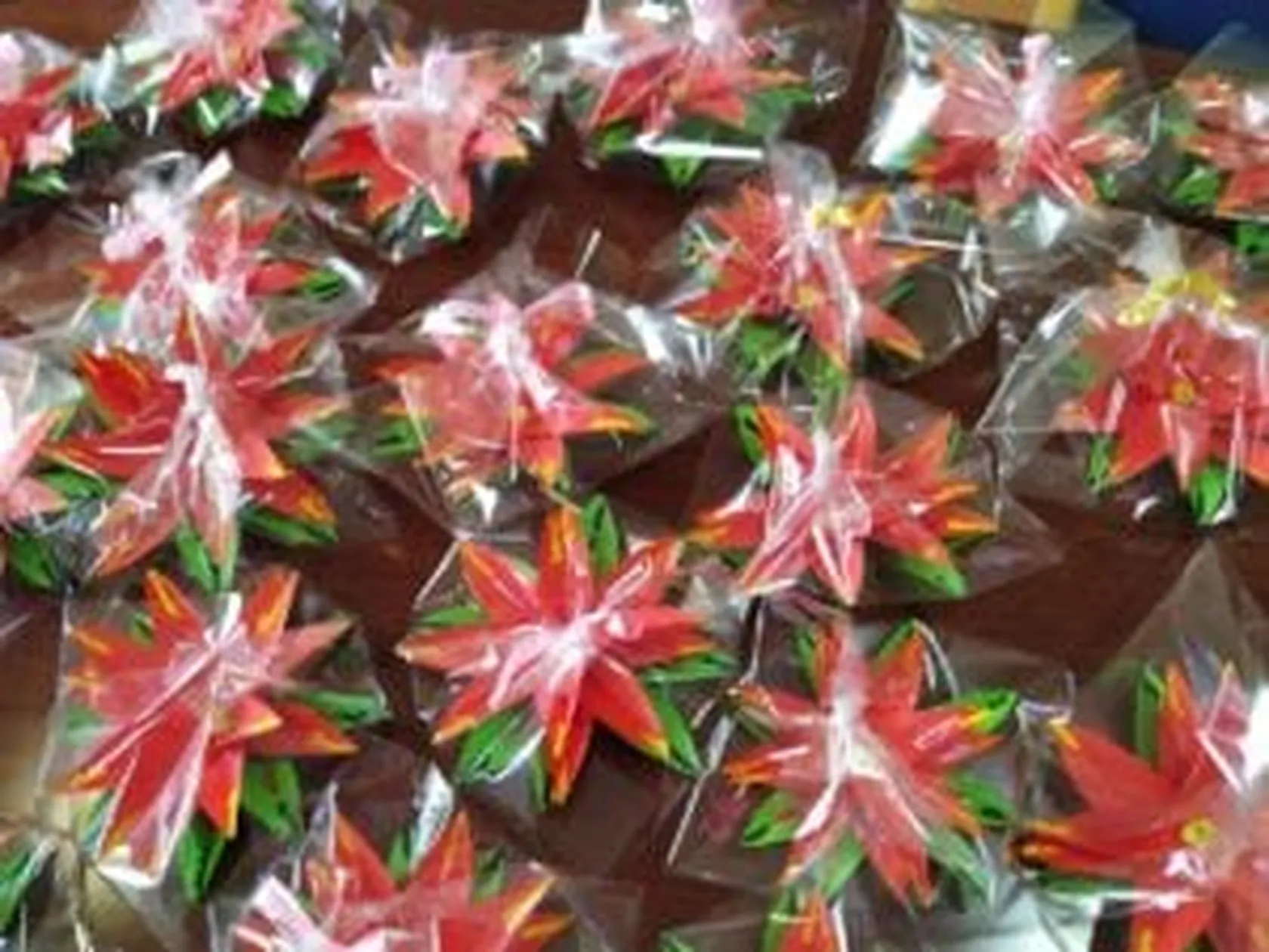 flor-de-pascua2-2020-300x225.jpg