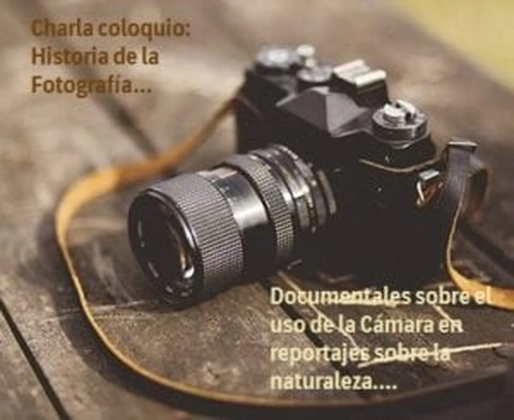 DomusViLugoD.IFotografiaI-300x245.jpg