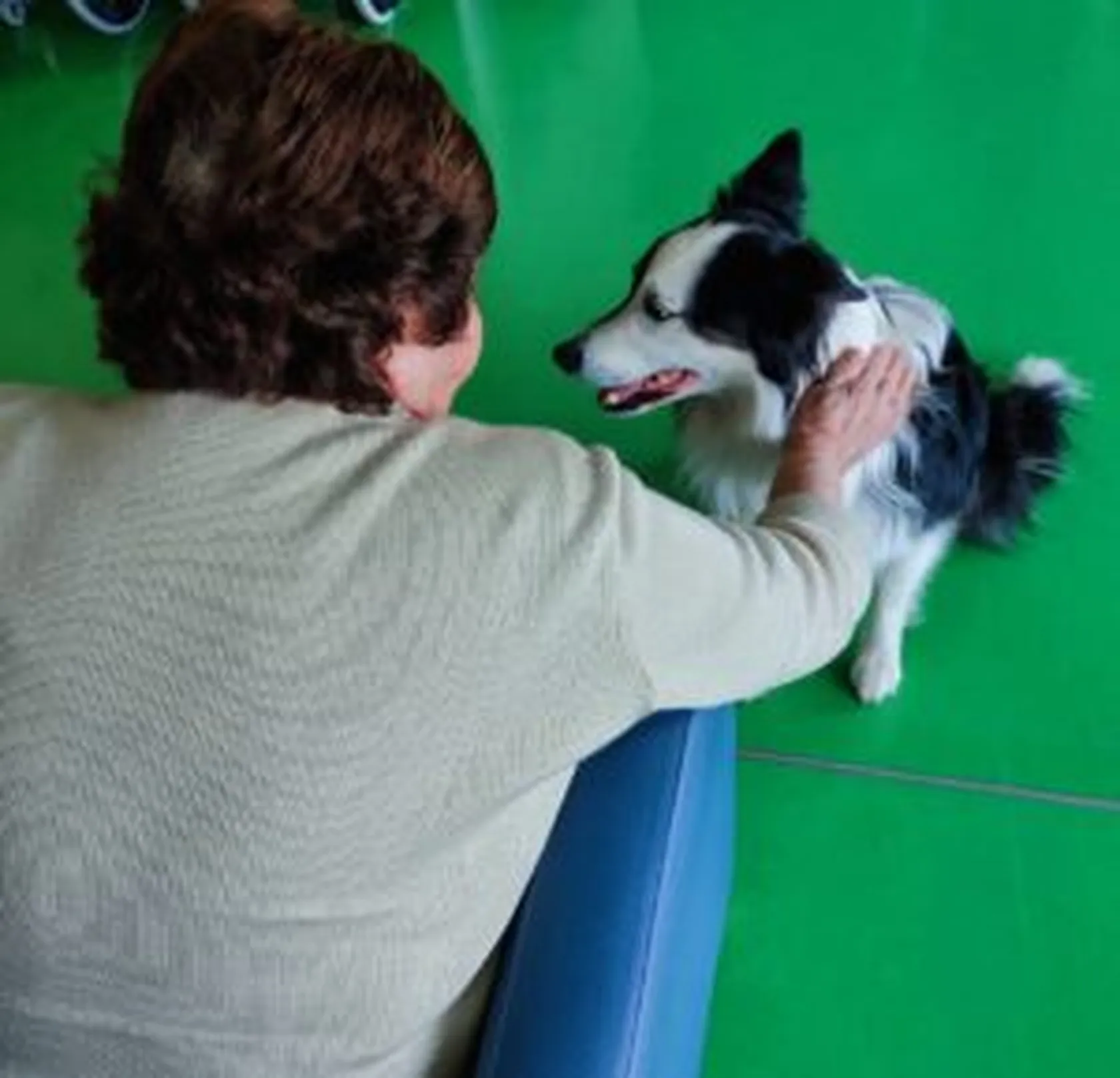 terapia-perro19-300x289.jpg