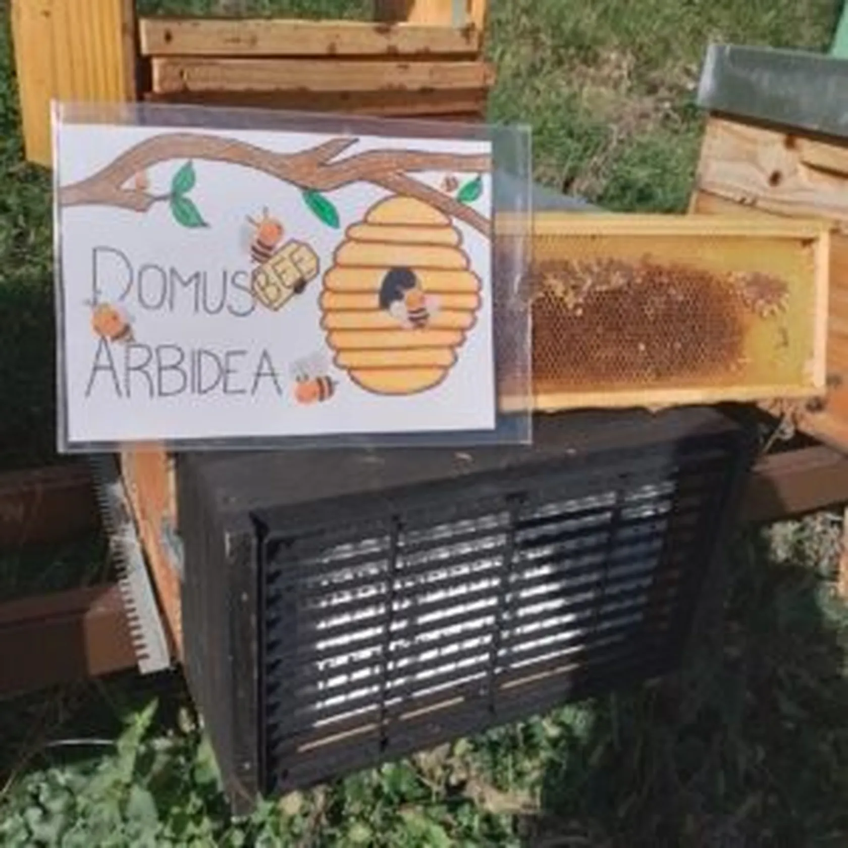 thumbnail_ARBIDEA-min-300x300.jpg