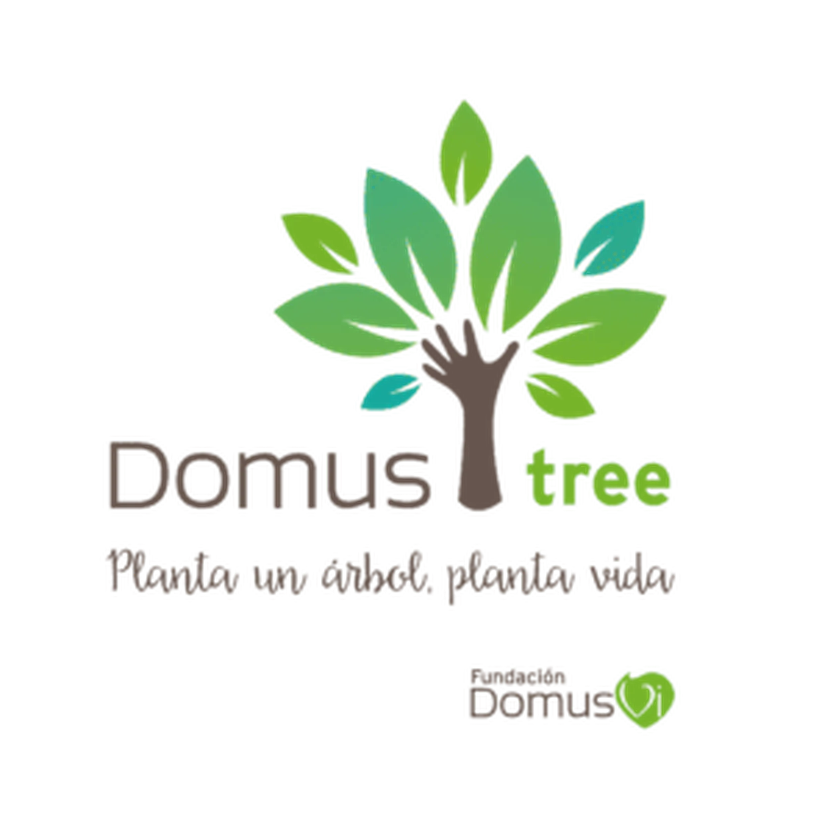 domustree.png