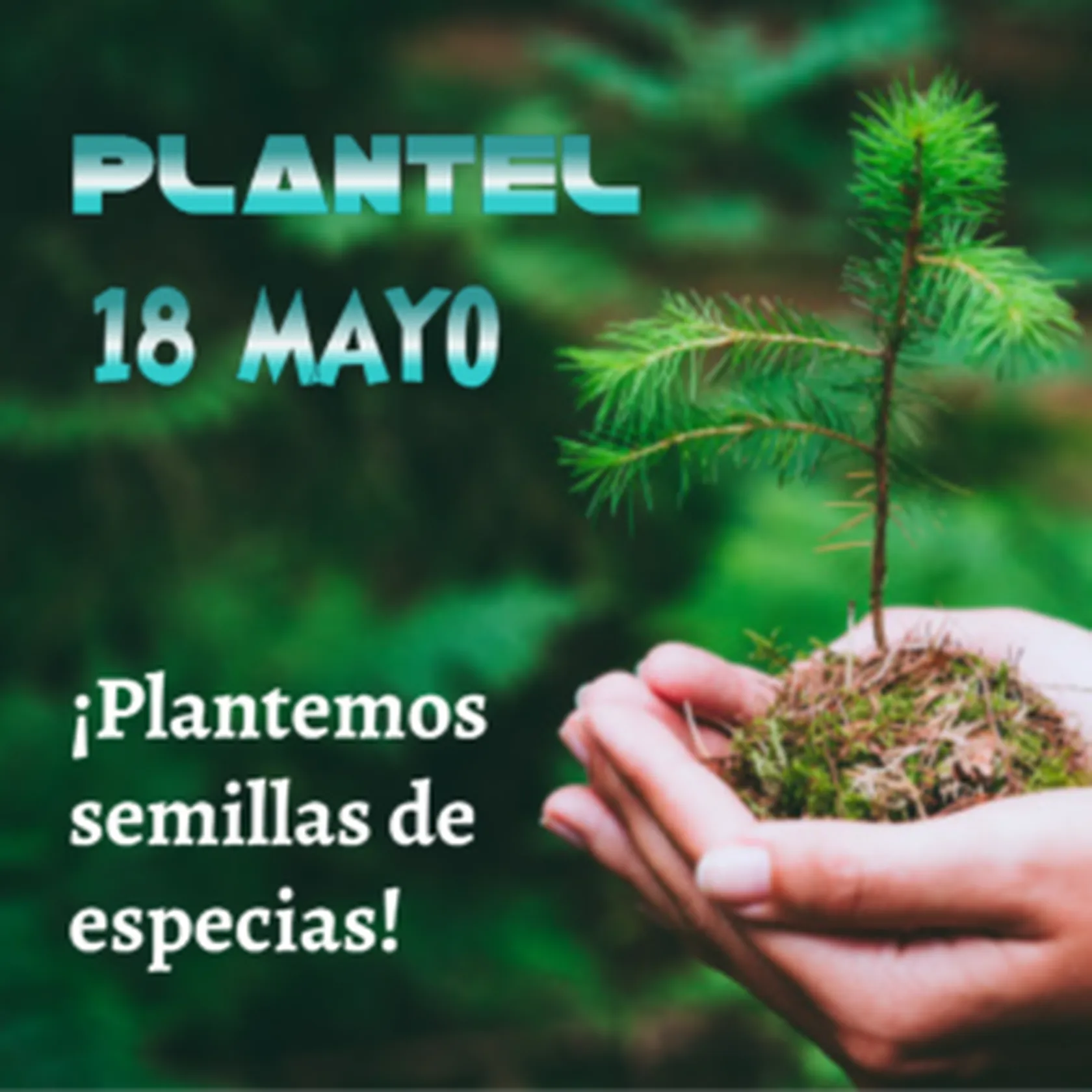 Plantel-300x300.png